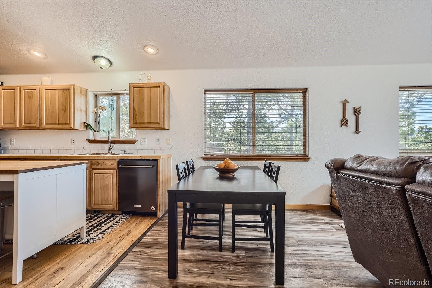 MLS Image #7 for 213 n circle drive,bailey, Colorado