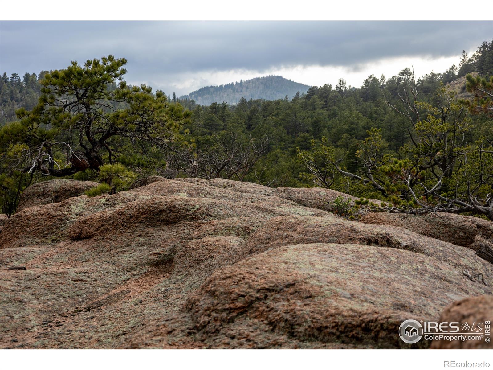 MLS Image #27 for 53  mill creek road,livermore, Colorado