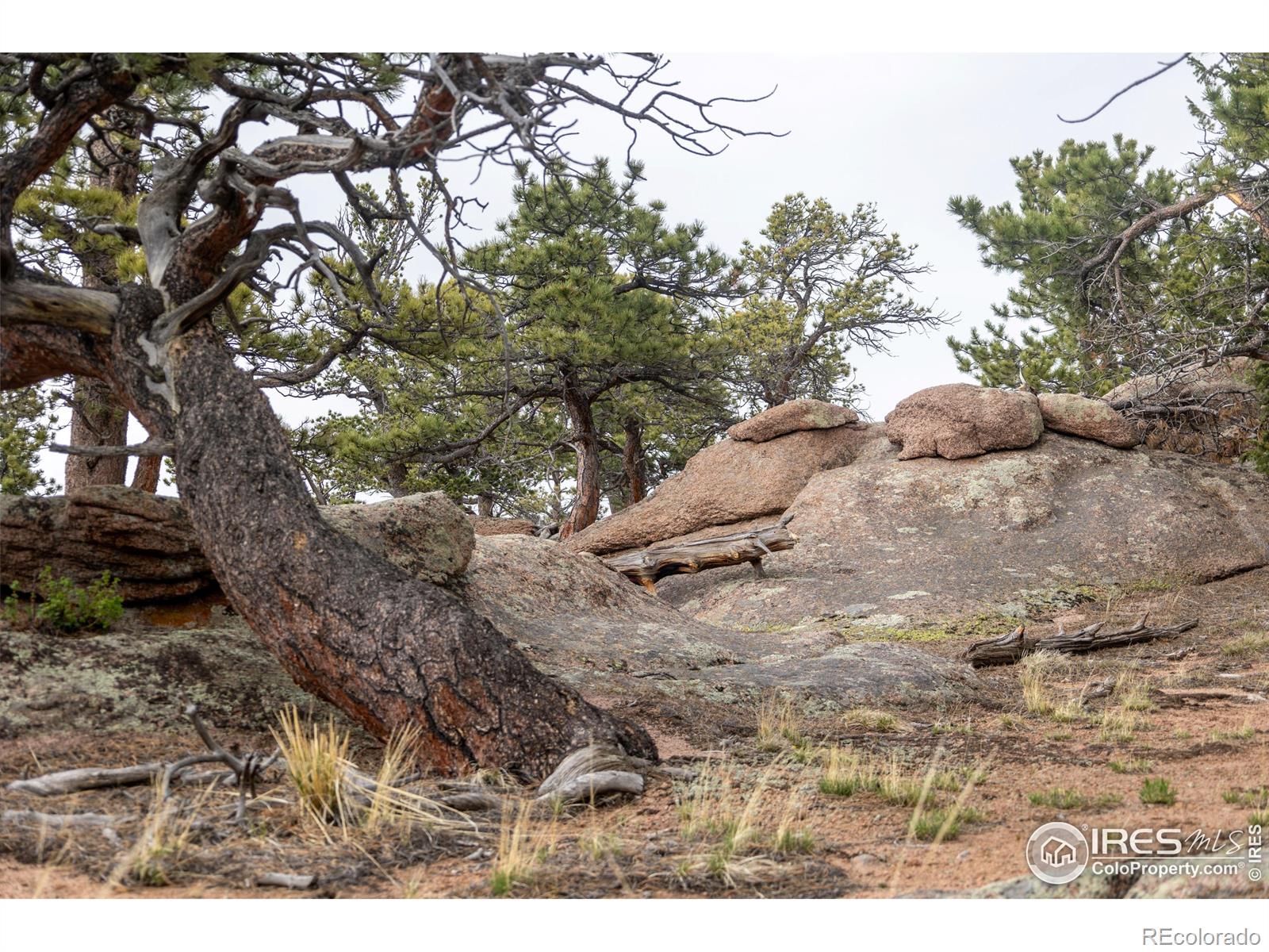 MLS Image #29 for 53  mill creek road,livermore, Colorado