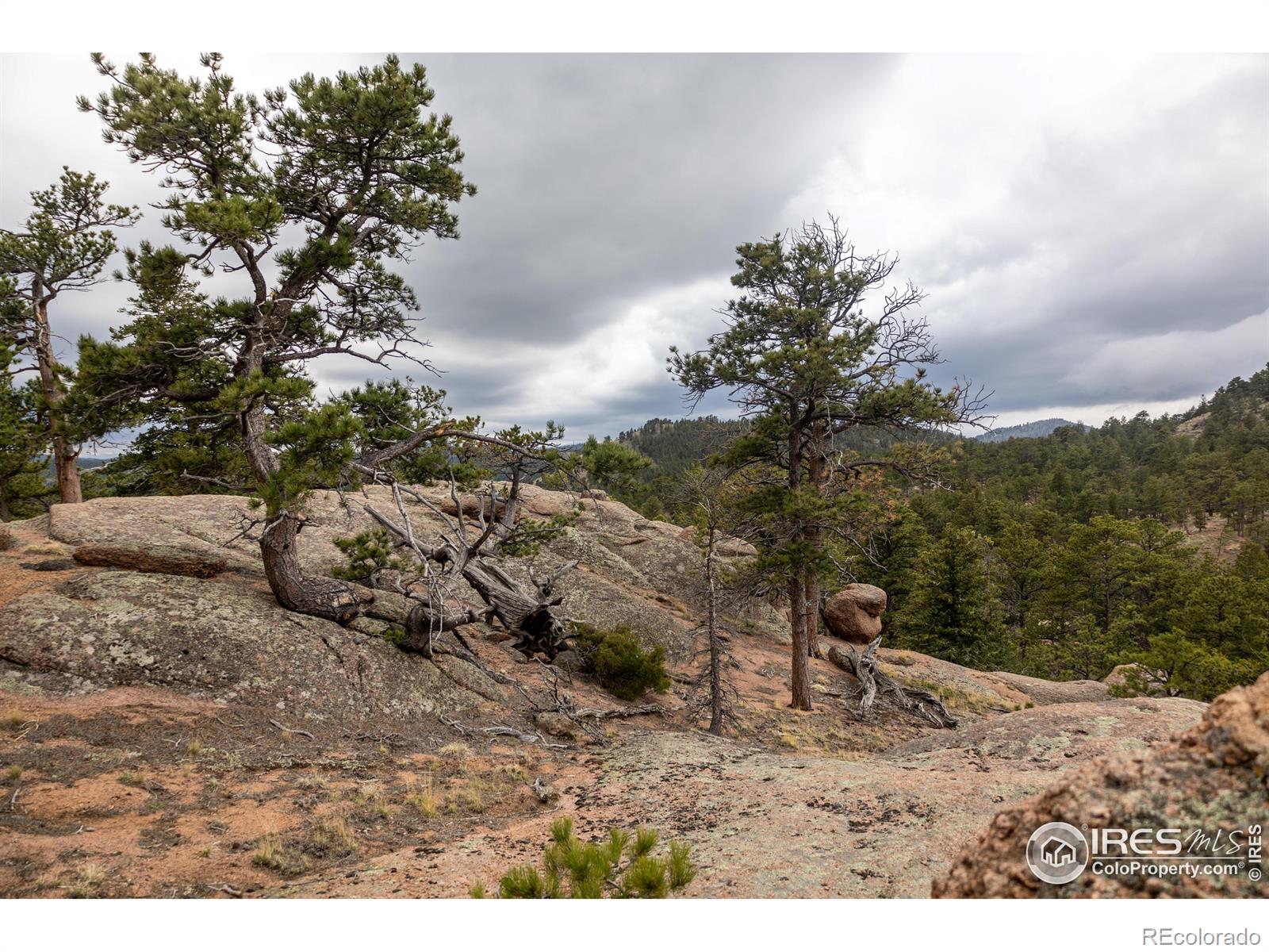 MLS Image #30 for 53  mill creek road,livermore, Colorado