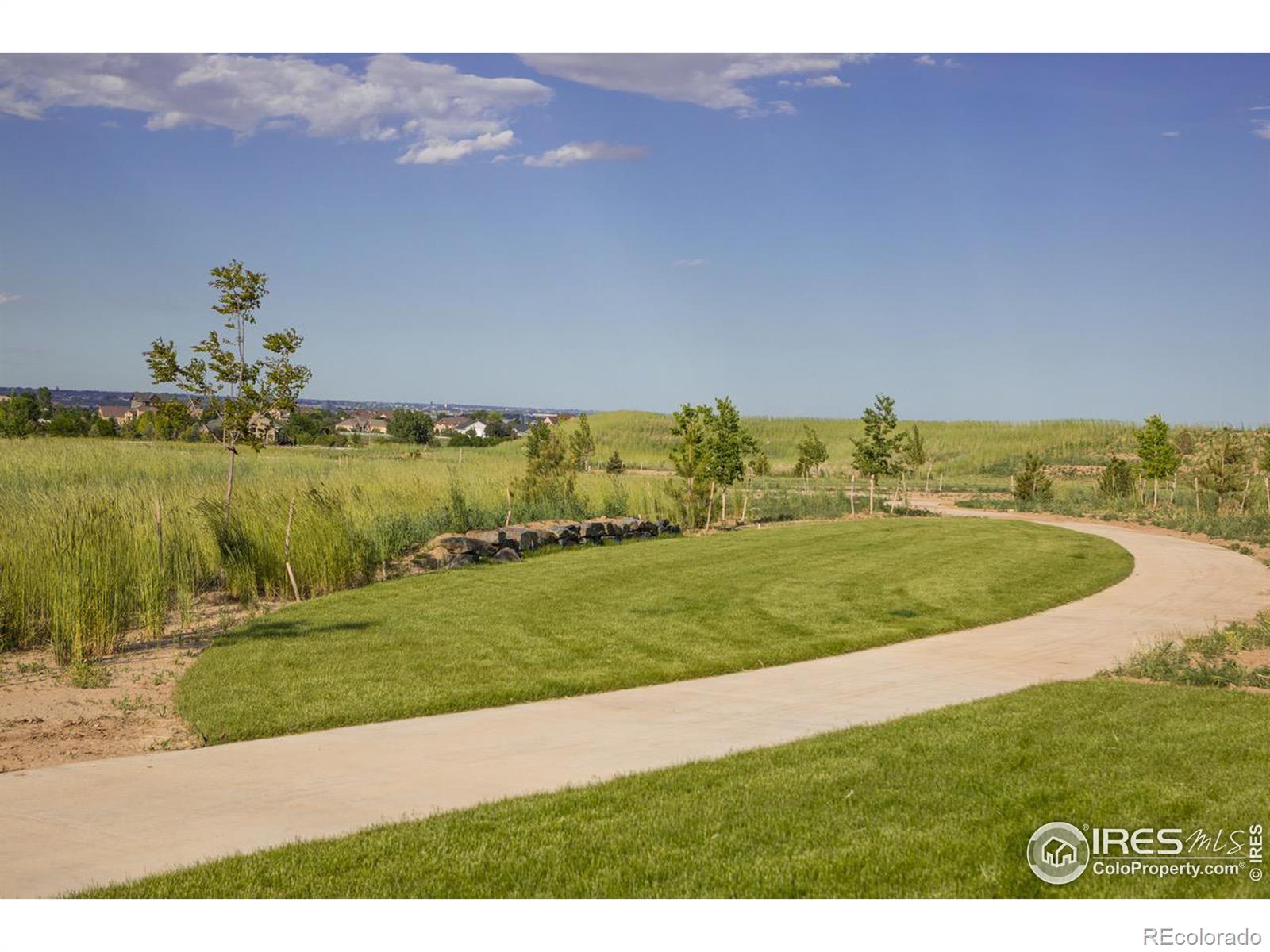 MLS Image #5 for 1703  branching canopy drive,windsor, Colorado