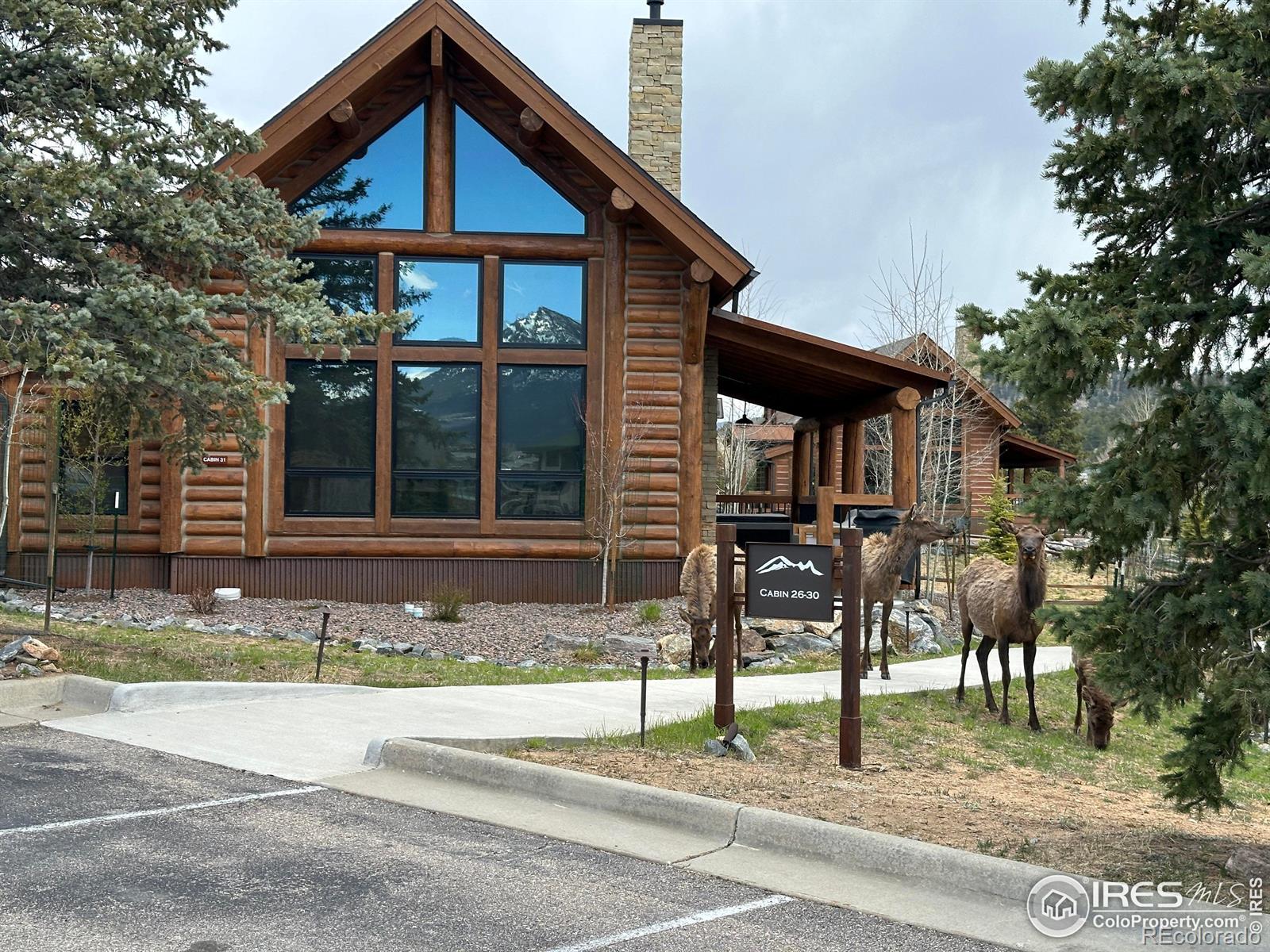 MLS Image #6 for 1718  theater way,estes park, Colorado