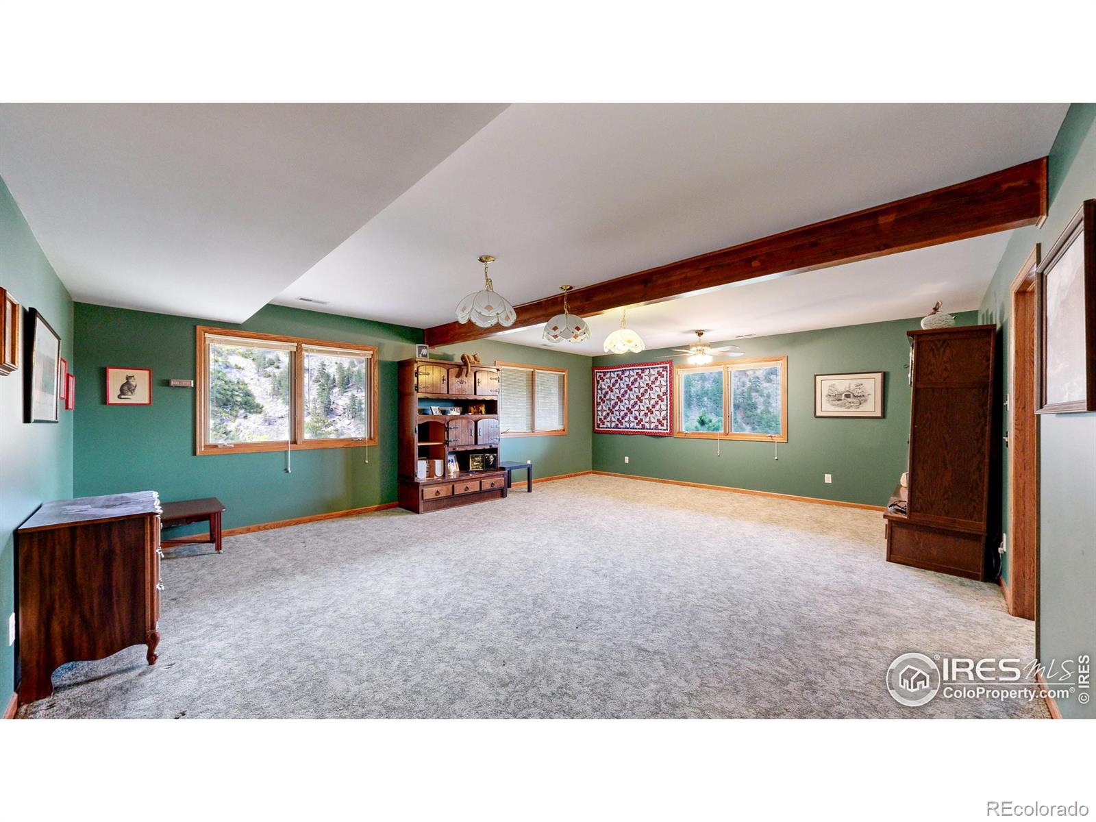 MLS Image #21 for 1089  fall river court,estes park, Colorado