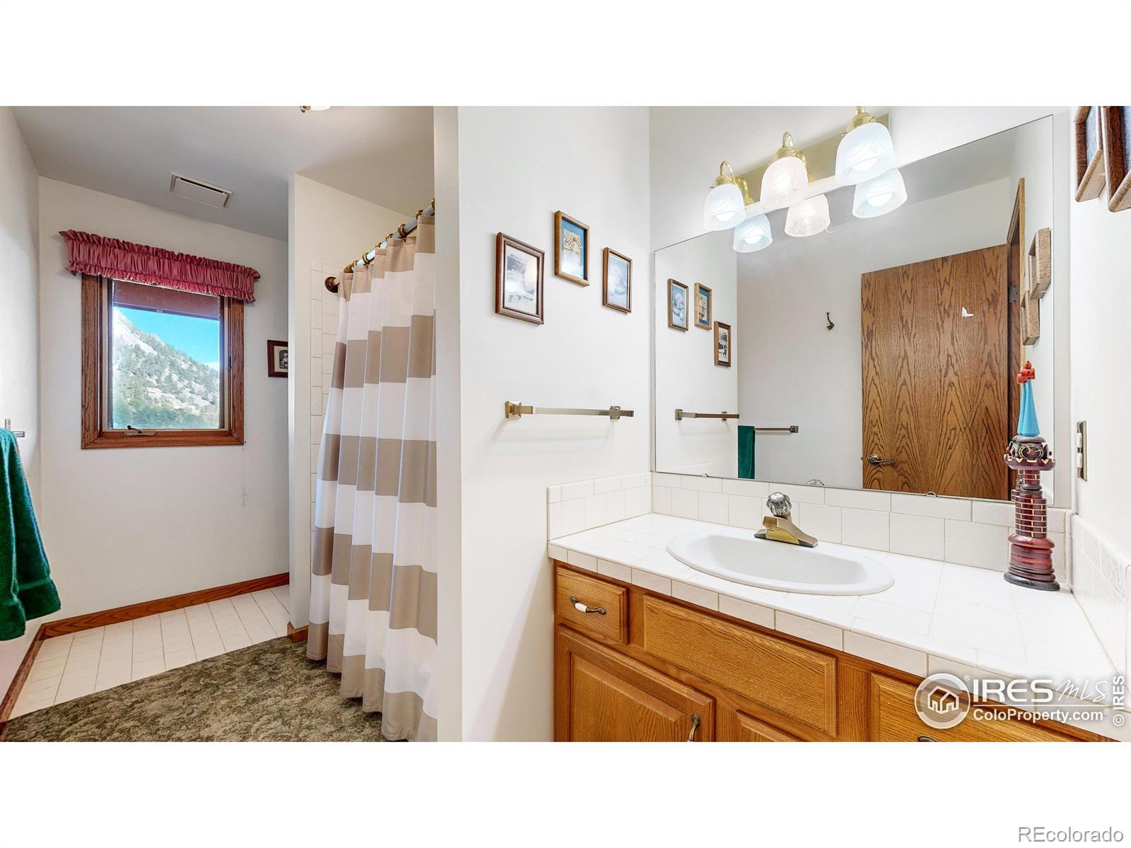 MLS Image #23 for 1089  fall river court,estes park, Colorado