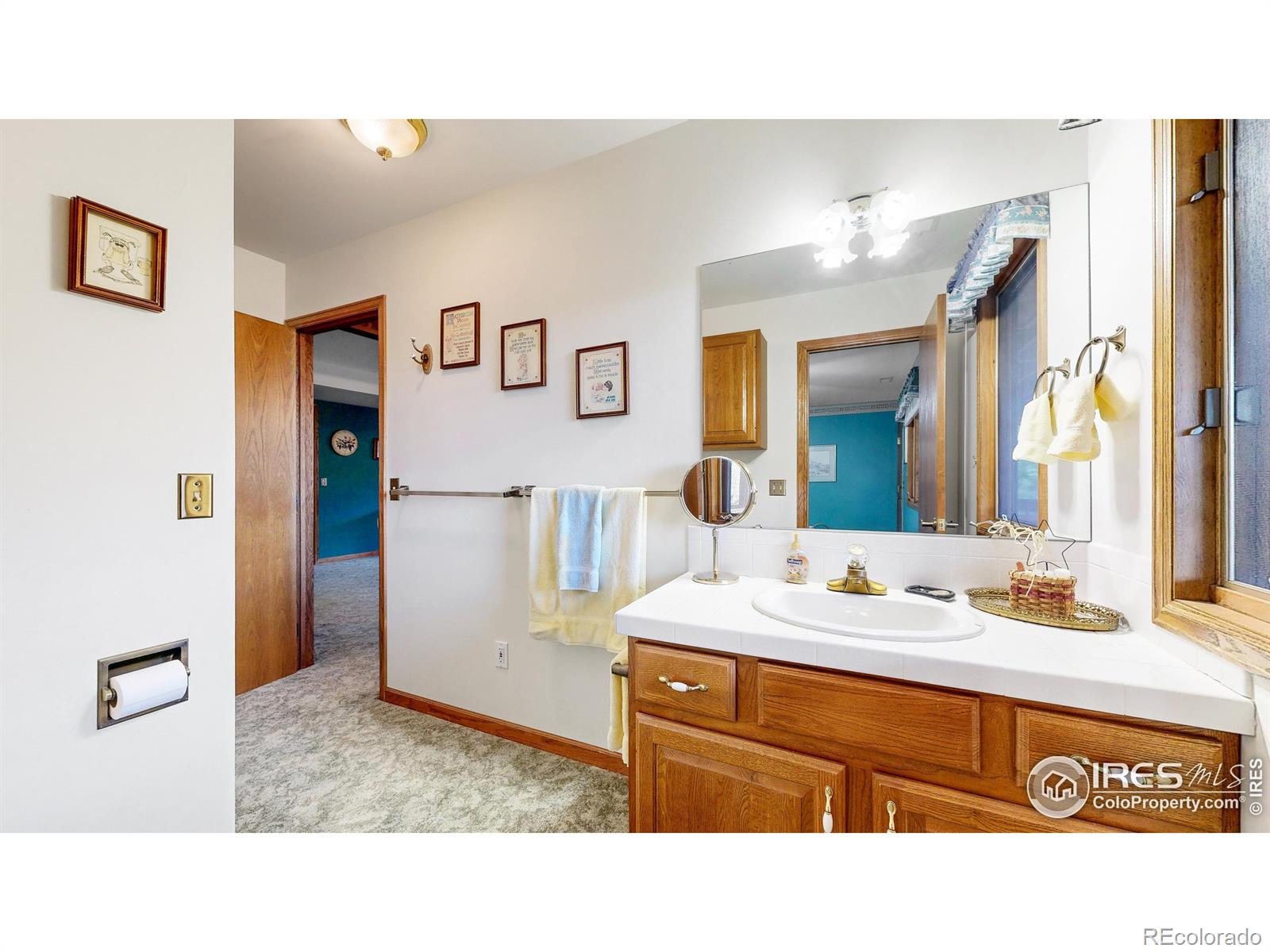 MLS Image #26 for 1089  fall river court,estes park, Colorado