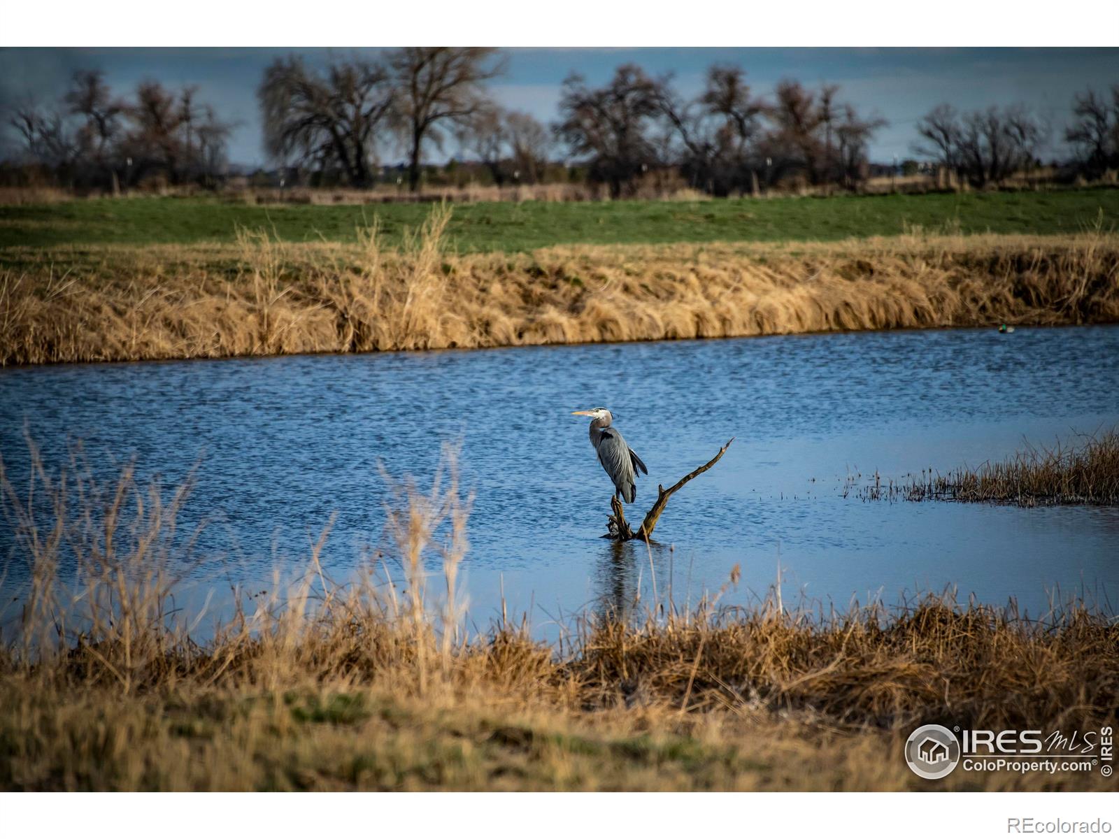 MLS Image #29 for 5513 e highway 14 ,fort collins, Colorado