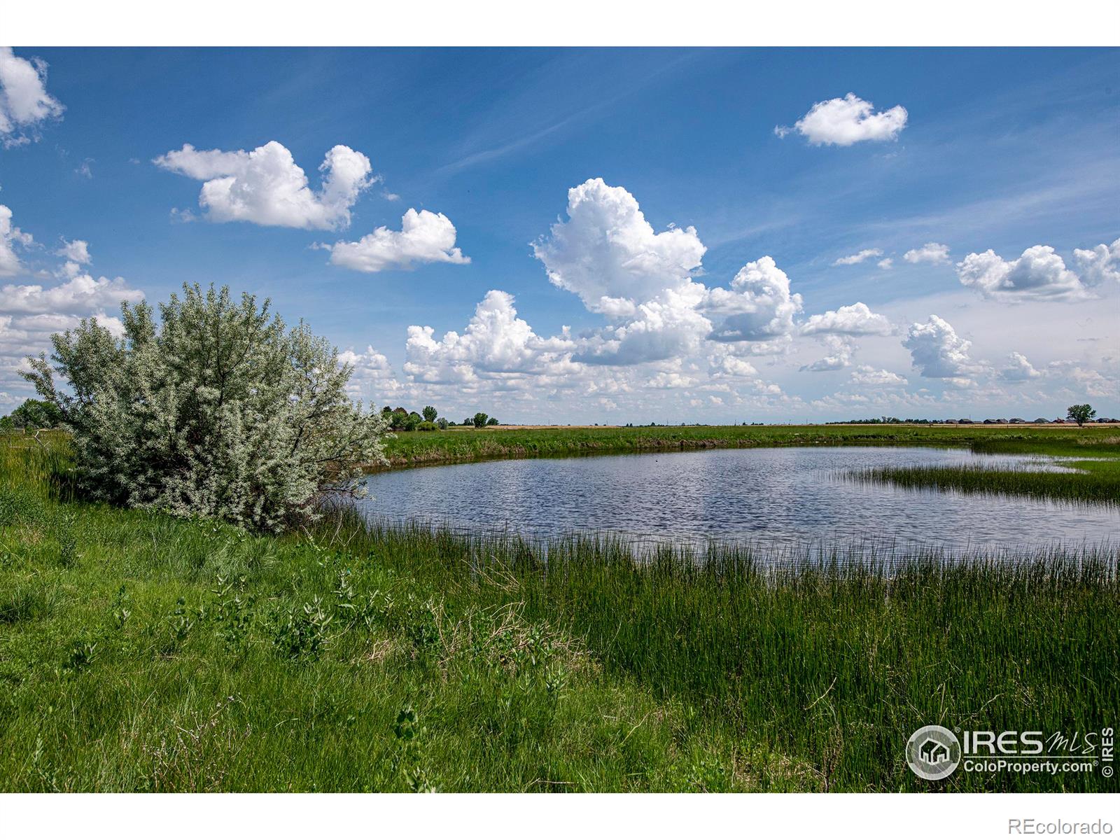 MLS Image #30 for 5513 e highway 14 ,fort collins, Colorado