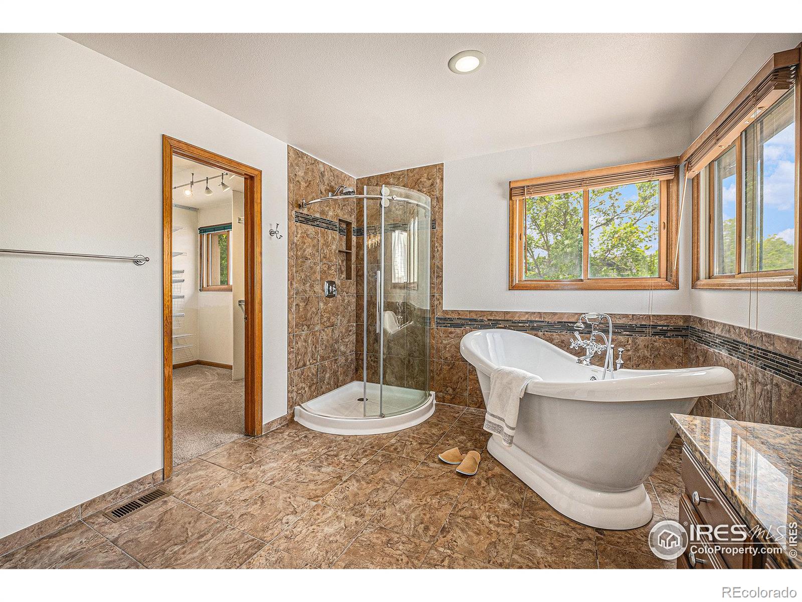 MLS Image #14 for 1055 e 132nd place,thornton, Colorado