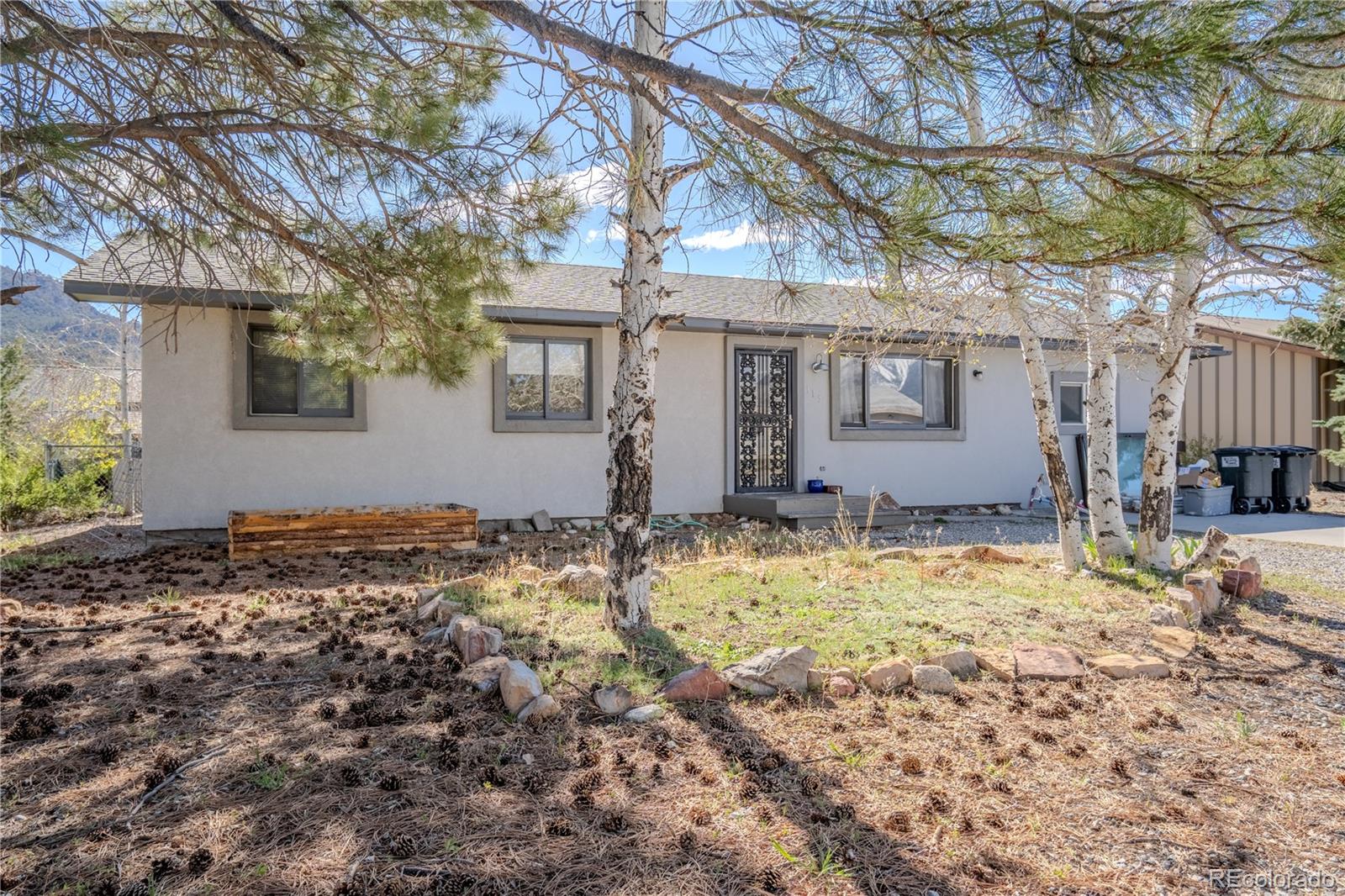 MLS Image #16 for 115  surrey street,buena vista, Colorado