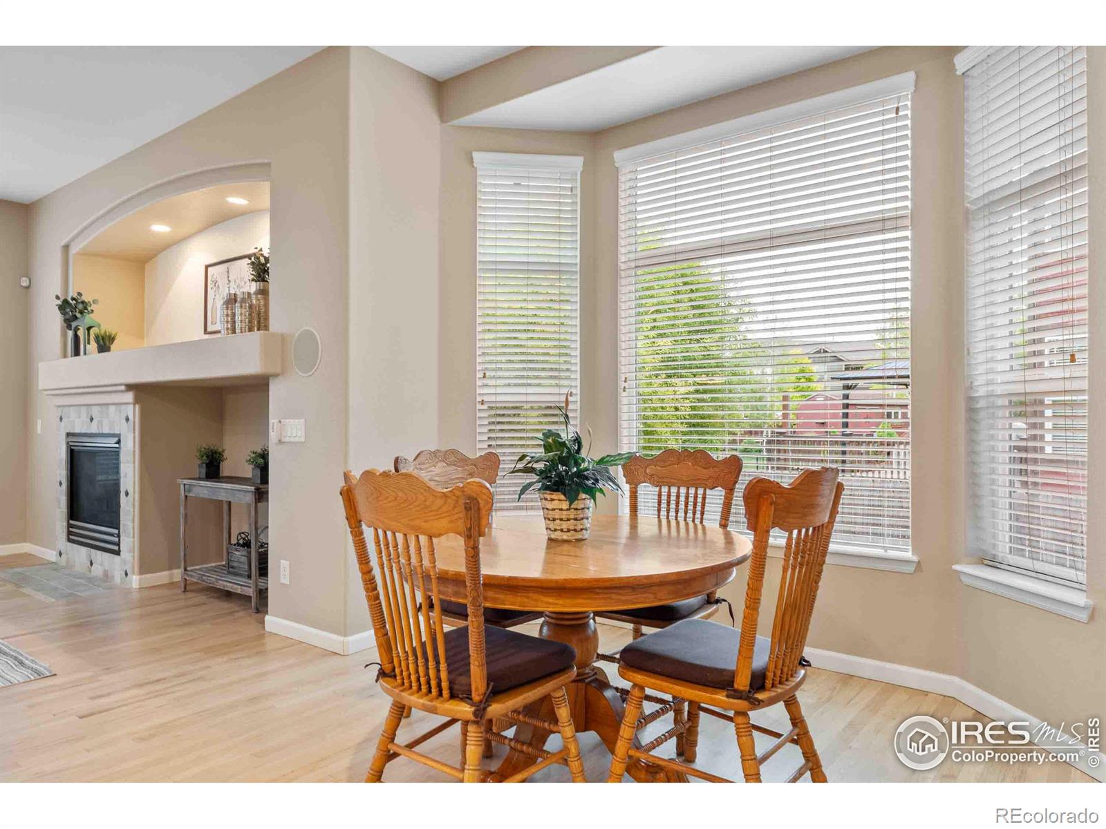 MLS Image #13 for 249  bittern drive,johnstown, Colorado