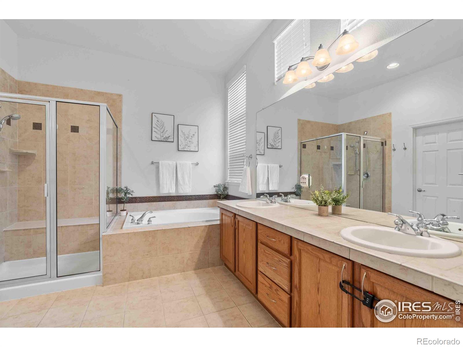 MLS Image #25 for 249  bittern drive,johnstown, Colorado