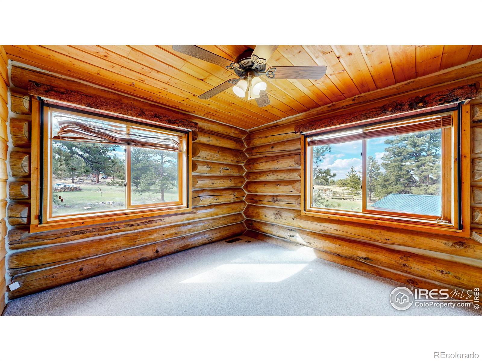 MLS Image #14 for 121  white slide mountain court,livermore, Colorado