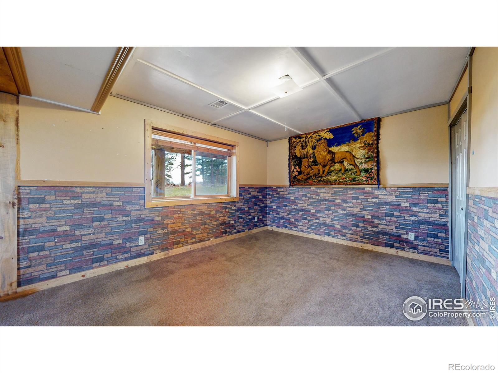 MLS Image #21 for 121  white slide mountain court,livermore, Colorado