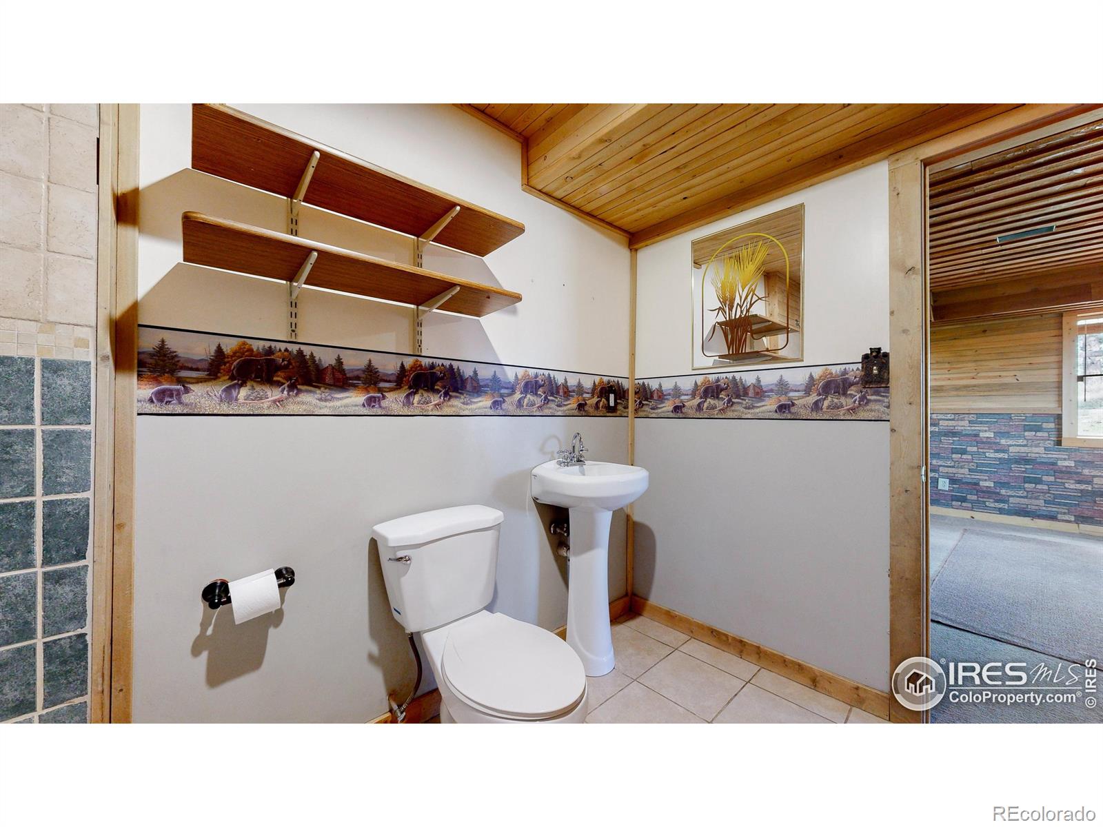 MLS Image #25 for 121  white slide mountain court,livermore, Colorado