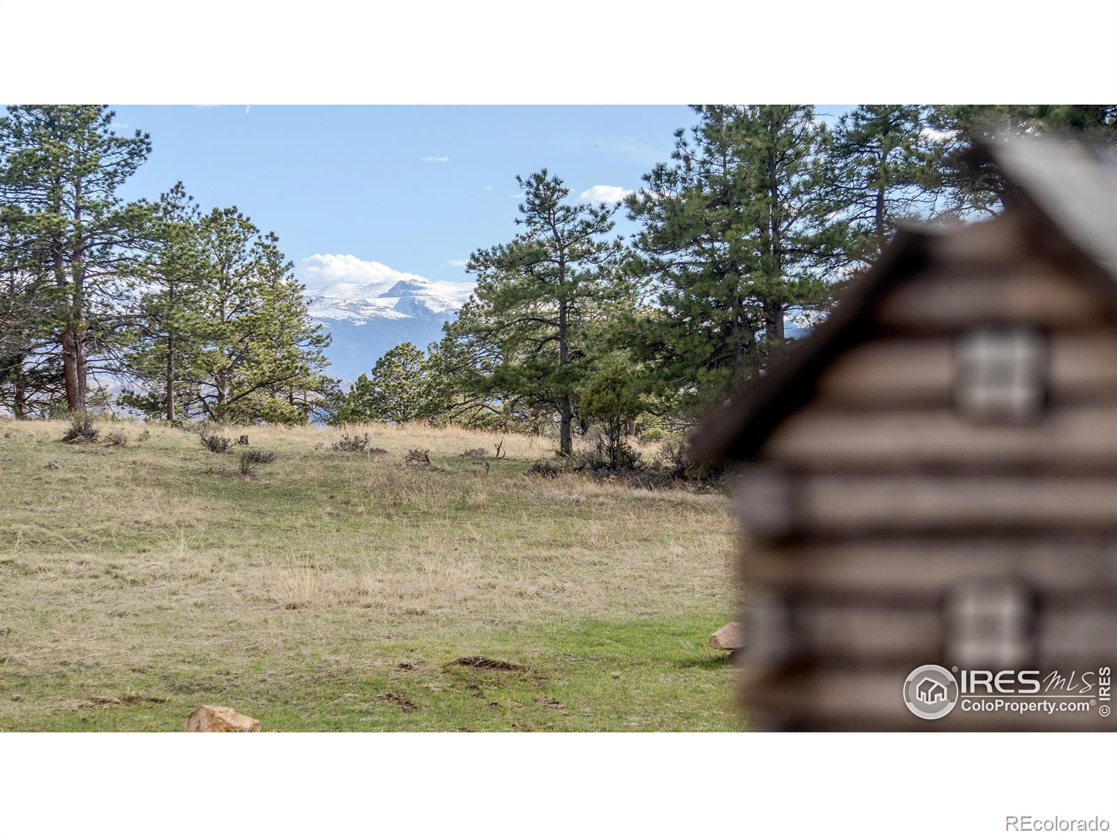 MLS Image #32 for 121  white slide mountain court,livermore, Colorado