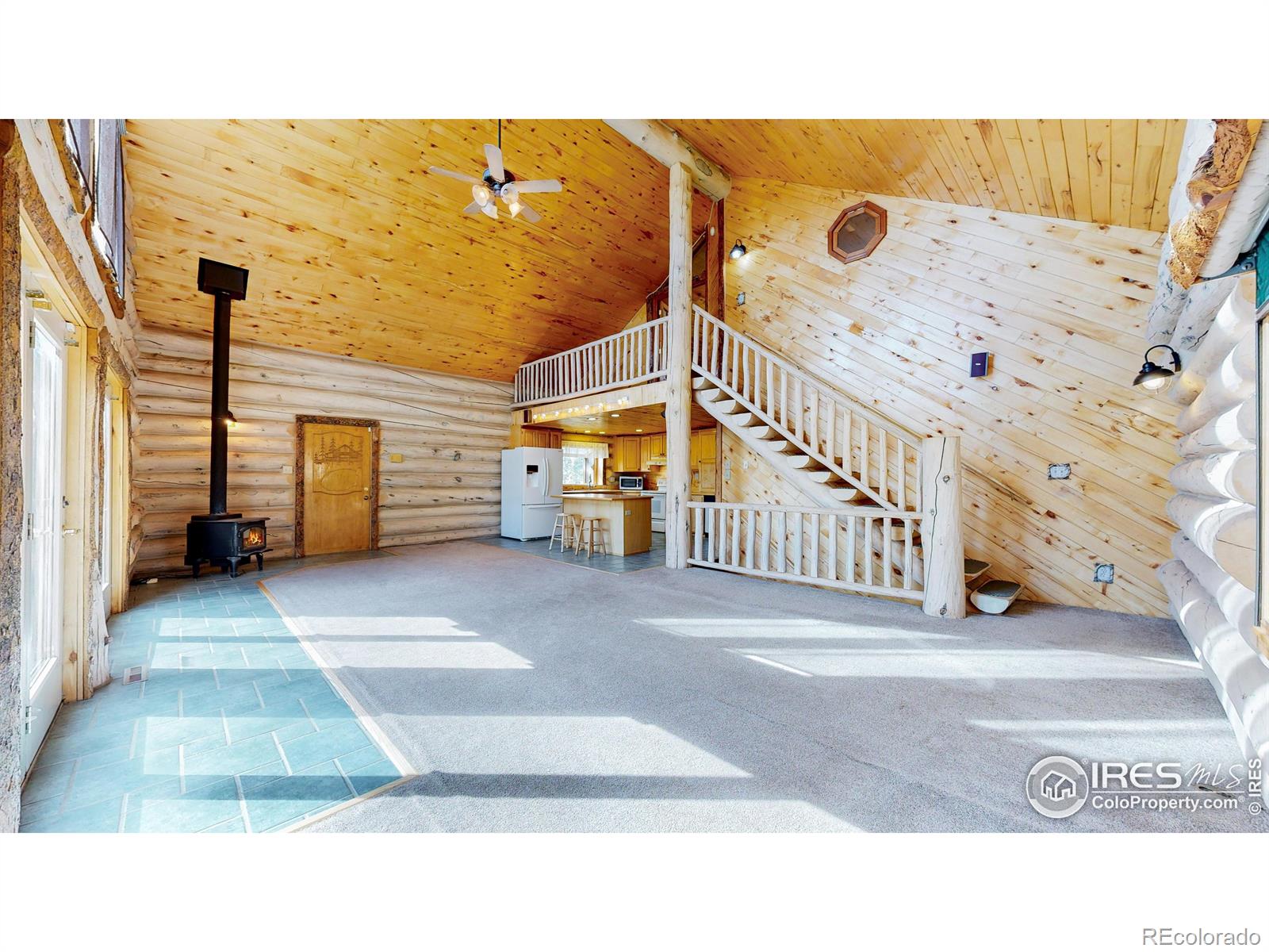 MLS Image #4 for 121  white slide mountain court,livermore, Colorado