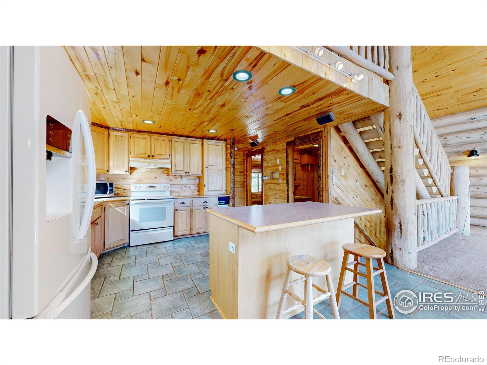 MLS Image #9 for 121  white slide mountain court,livermore, Colorado