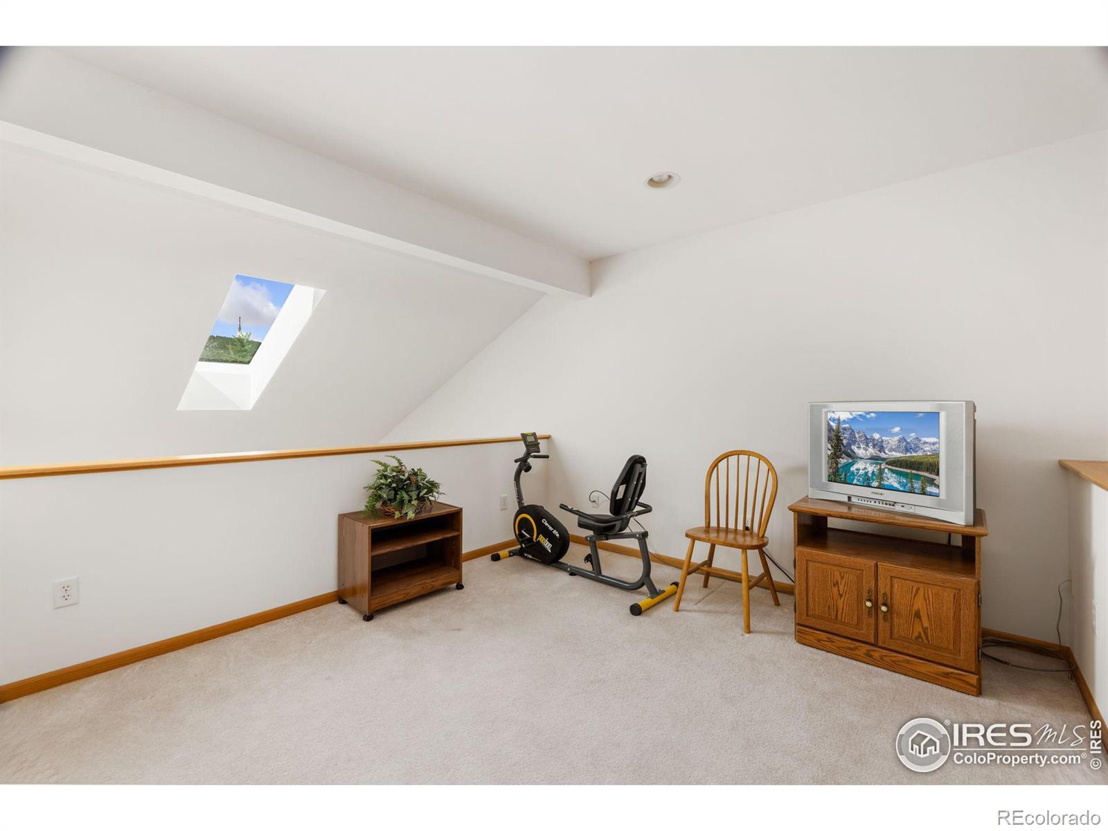 MLS Image #24 for 1442  raven circle,estes park, Colorado