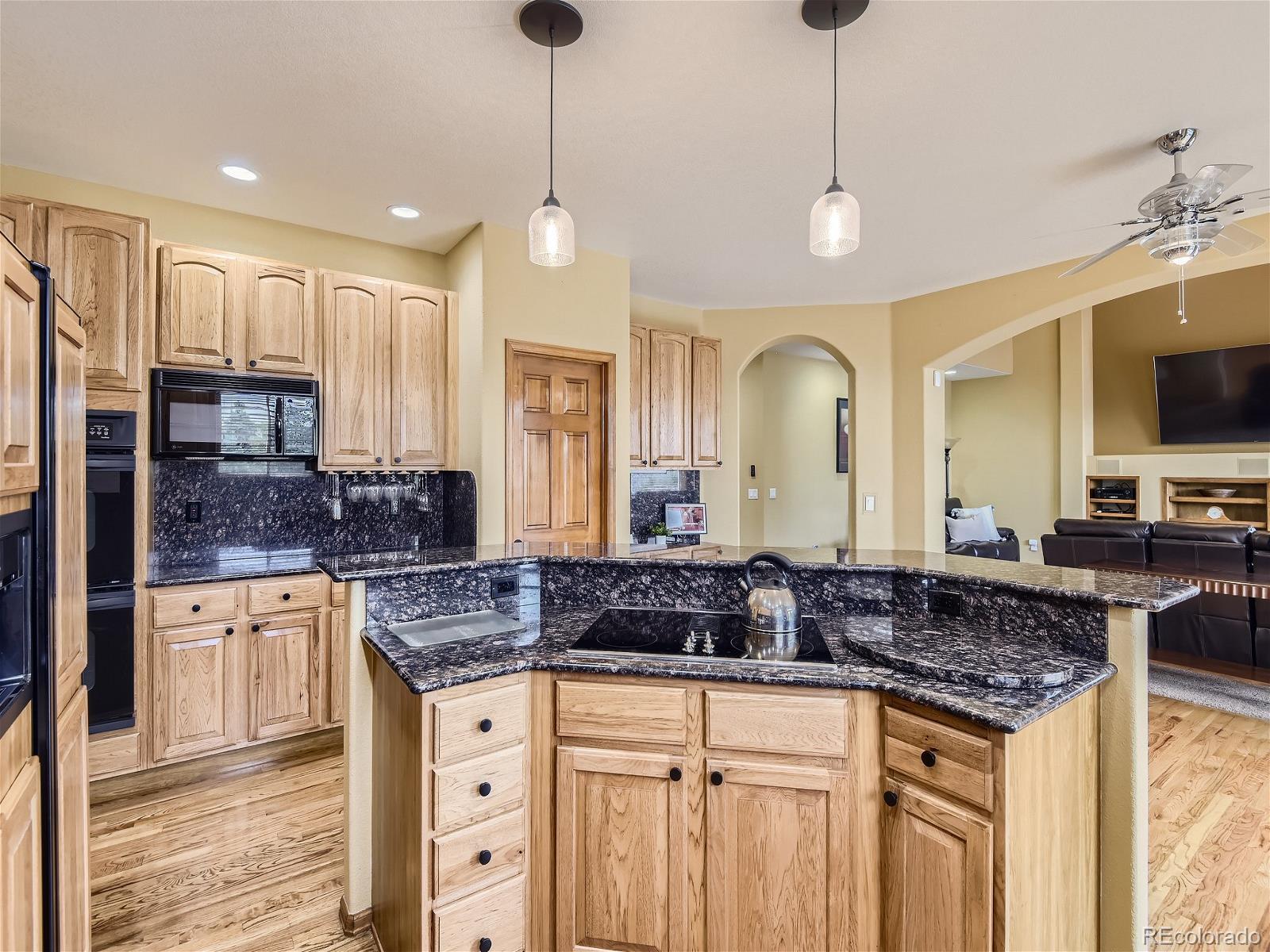 MLS Image #12 for 22496 e ridge trail drive,aurora, Colorado