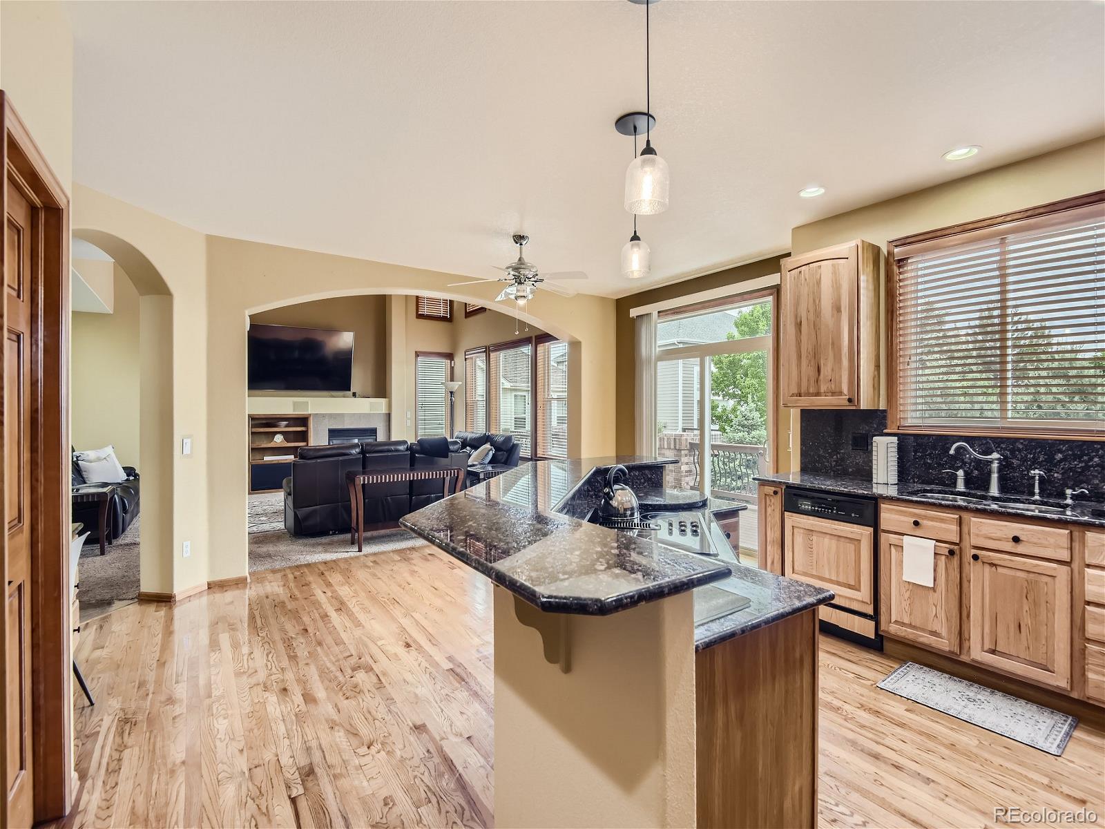 MLS Image #13 for 22496 e ridge trail drive,aurora, Colorado