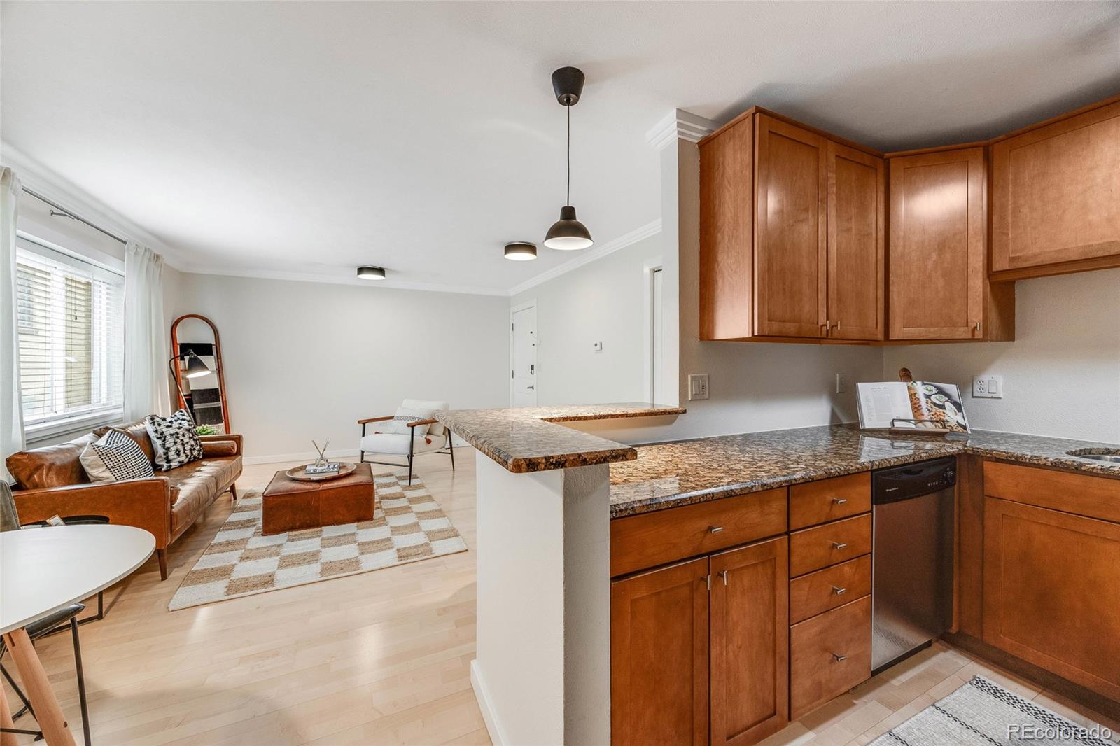 MLS Image #5 for 1055 n corona street,denver, Colorado