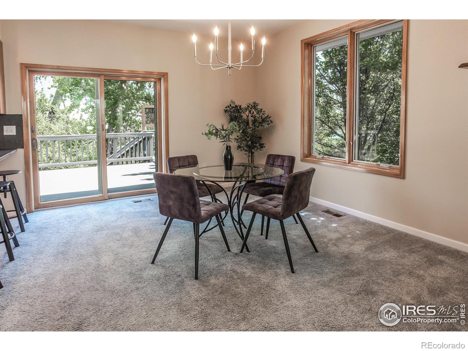MLS Image #11 for 2466  stonecrest drive,fort collins, Colorado
