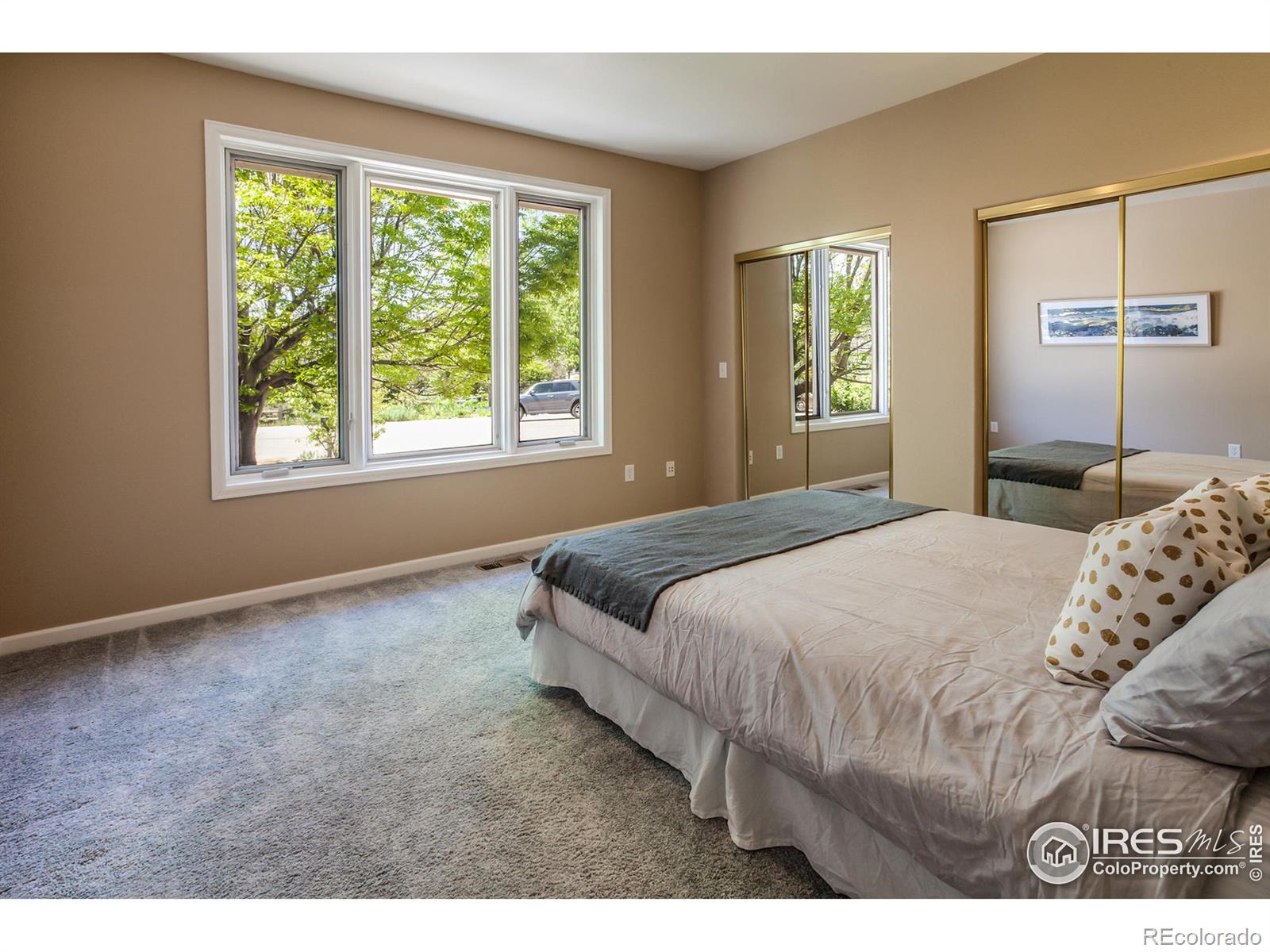 MLS Image #22 for 2466  stonecrest drive,fort collins, Colorado