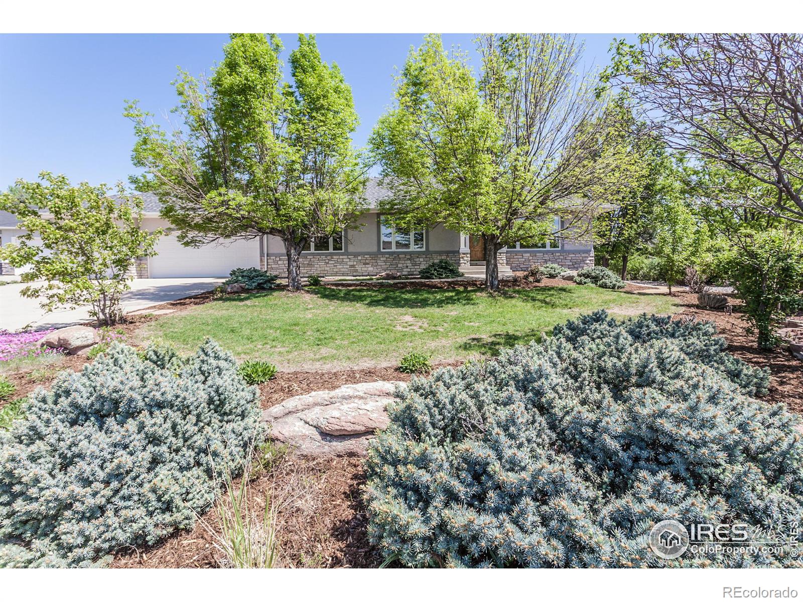 MLS Image #3 for 2466  stonecrest drive,fort collins, Colorado