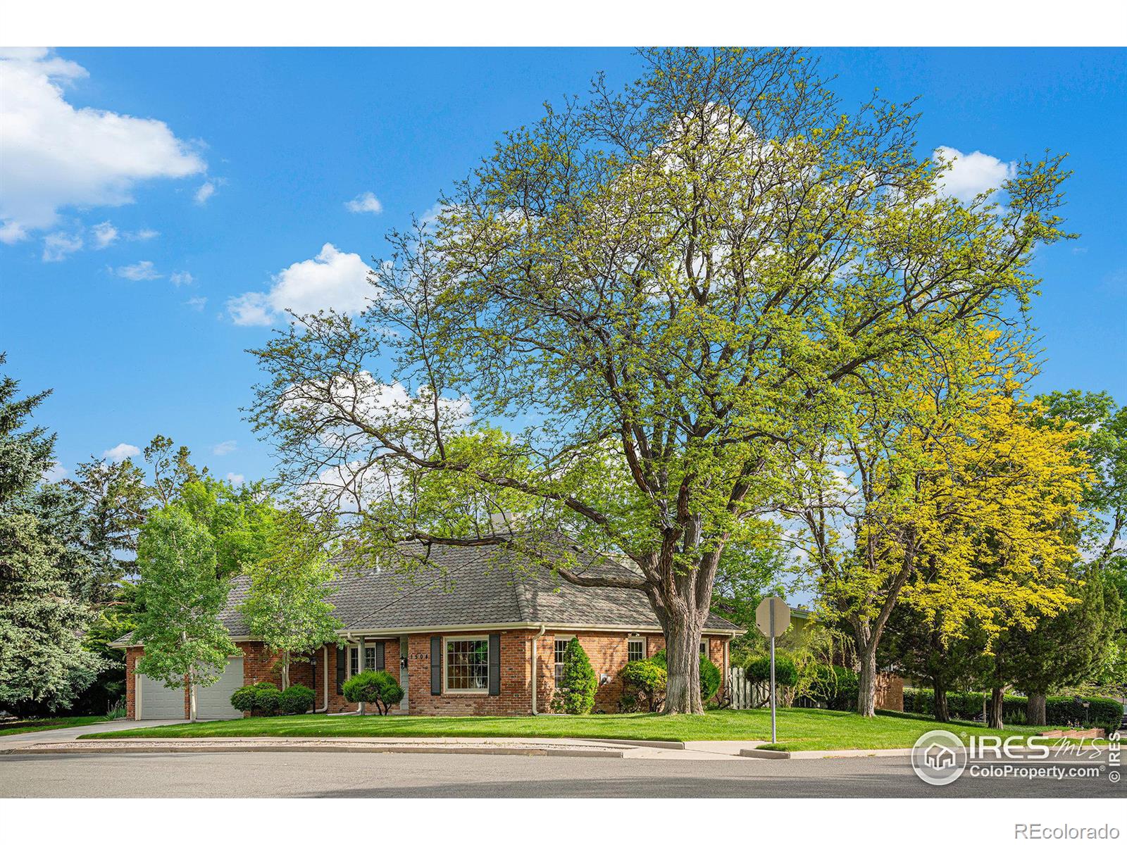 MLS Image #2 for 1504  florida drive,loveland, Colorado