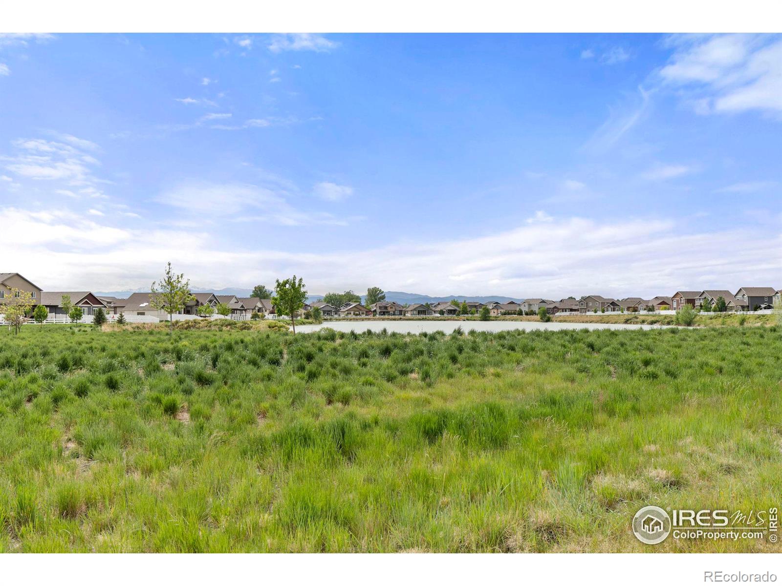 MLS Image #33 for 668  boxwood drive,windsor, Colorado