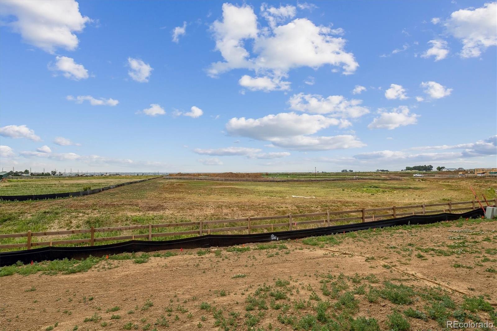 MLS Image #19 for 5852  red barn avenue,mead, Colorado