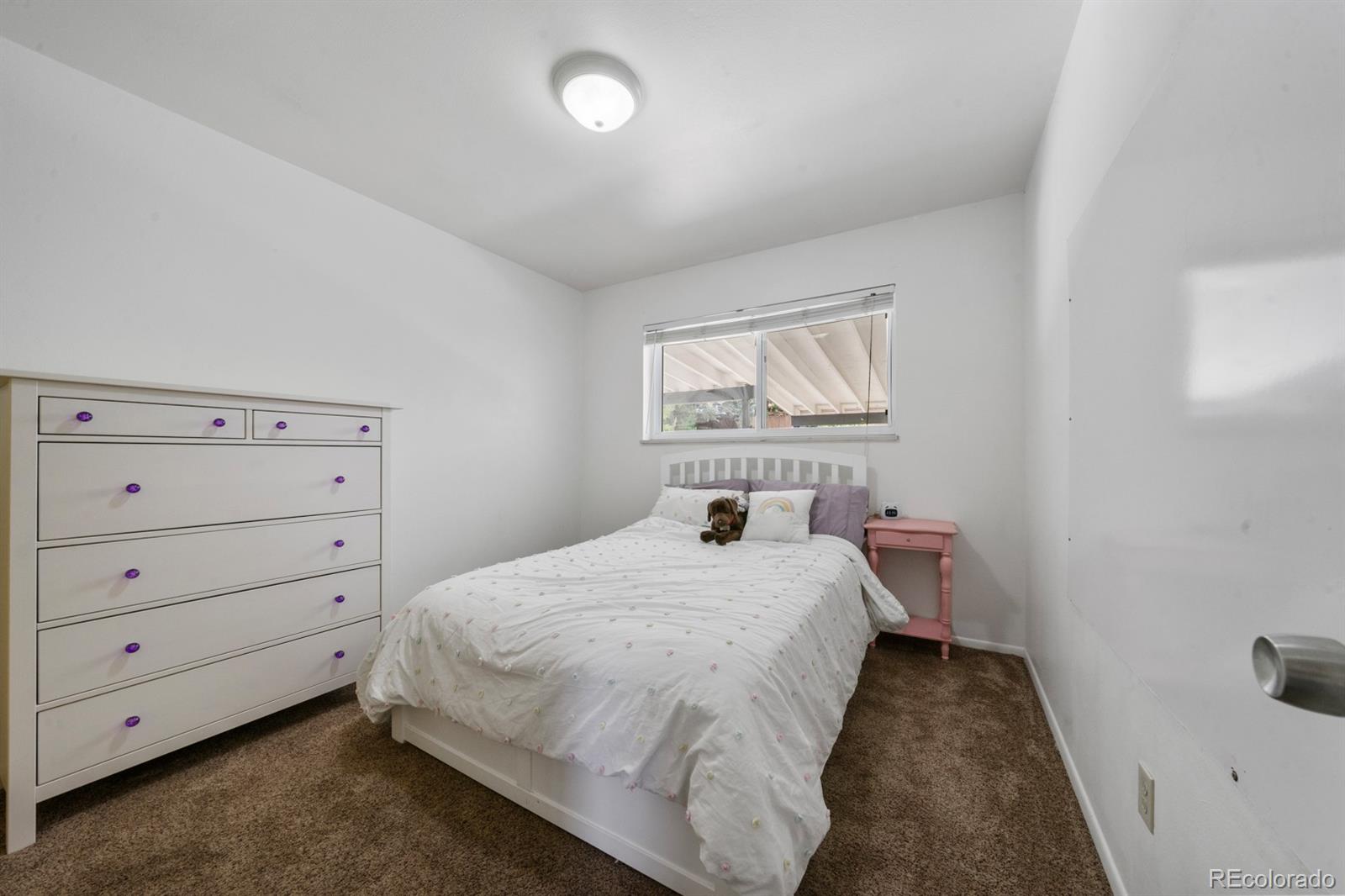 MLS Image #15 for 1515  lehmberg boulevard,colorado springs, Colorado