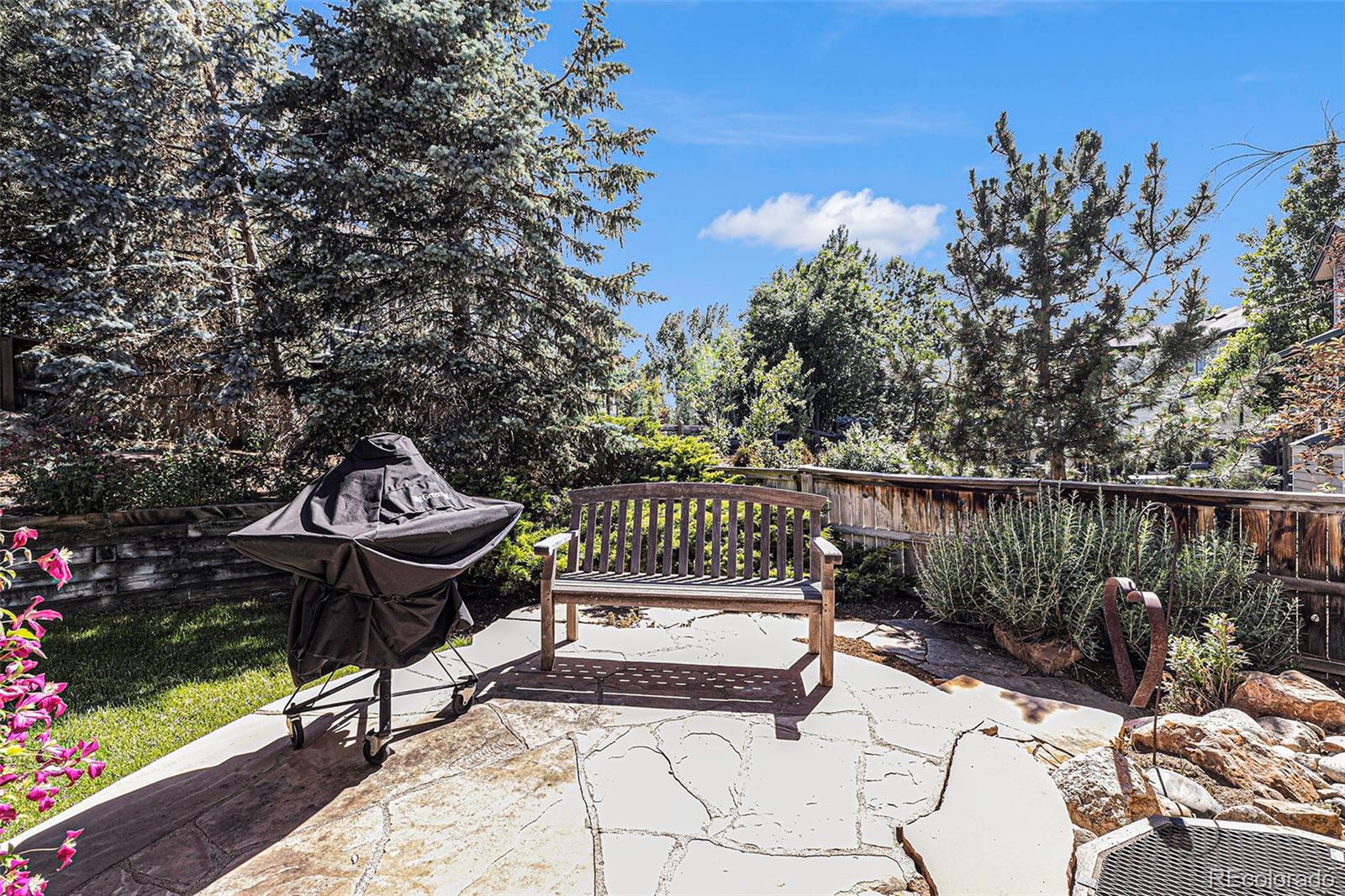 MLS Image #25 for 404  winterthur way,highlands ranch, Colorado