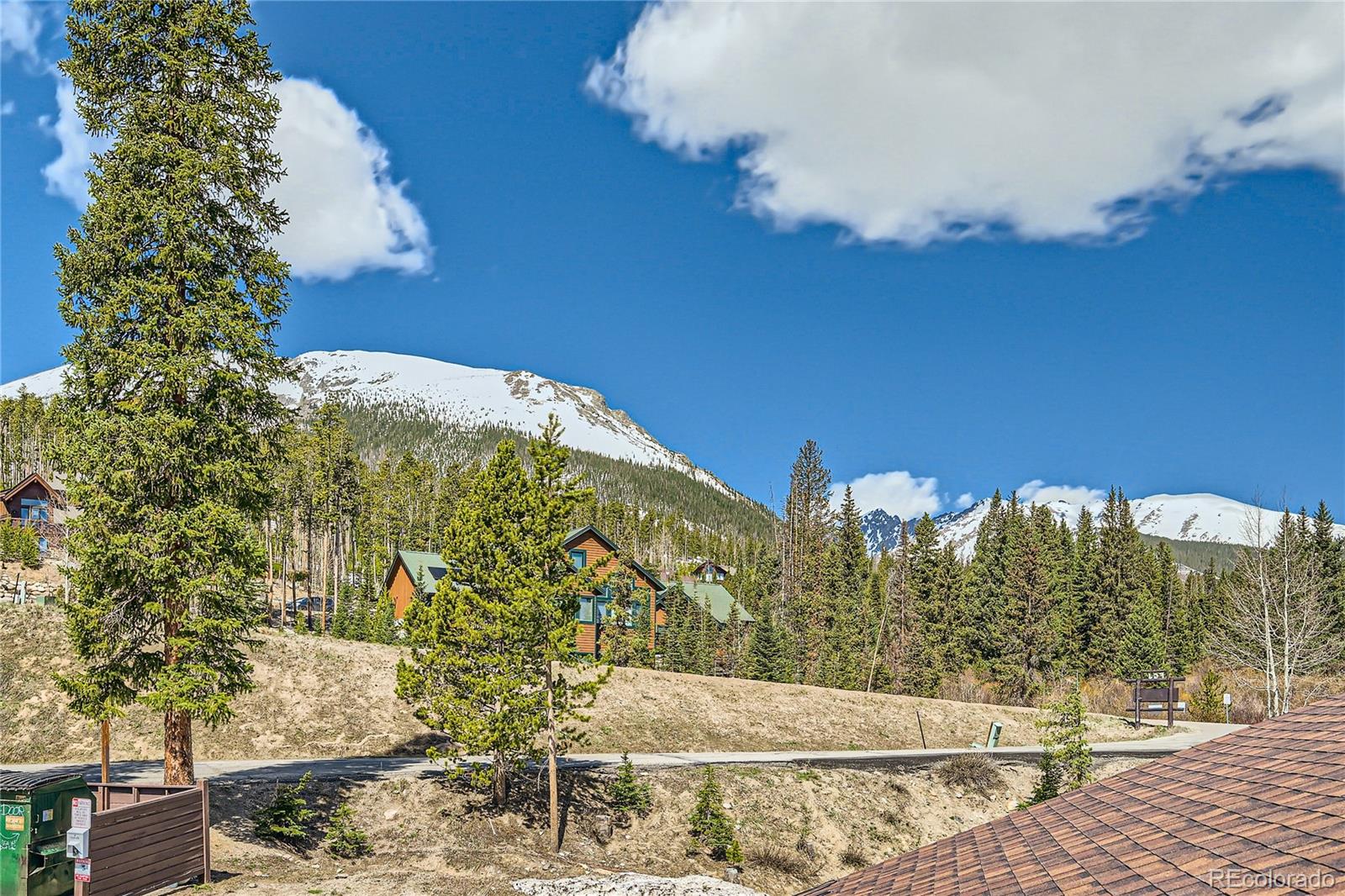 MLS Image #29 for 10000  ryan gulch road,silverthorne, Colorado