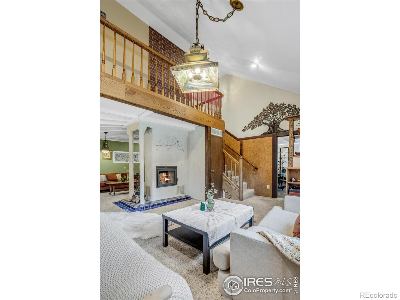 MLS Image #10 for 4726  fourmile canyon drive,boulder, Colorado