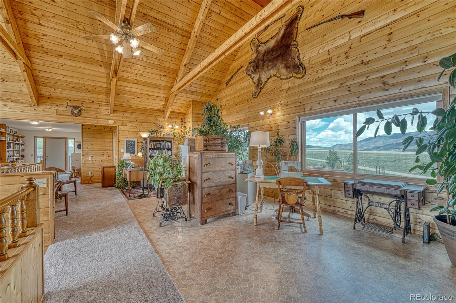 MLS Image #20 for 32400  county road 361 ,buena vista, Colorado