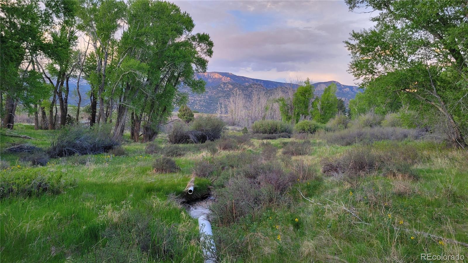 MLS Image #34 for 32400  county road 361 ,buena vista, Colorado