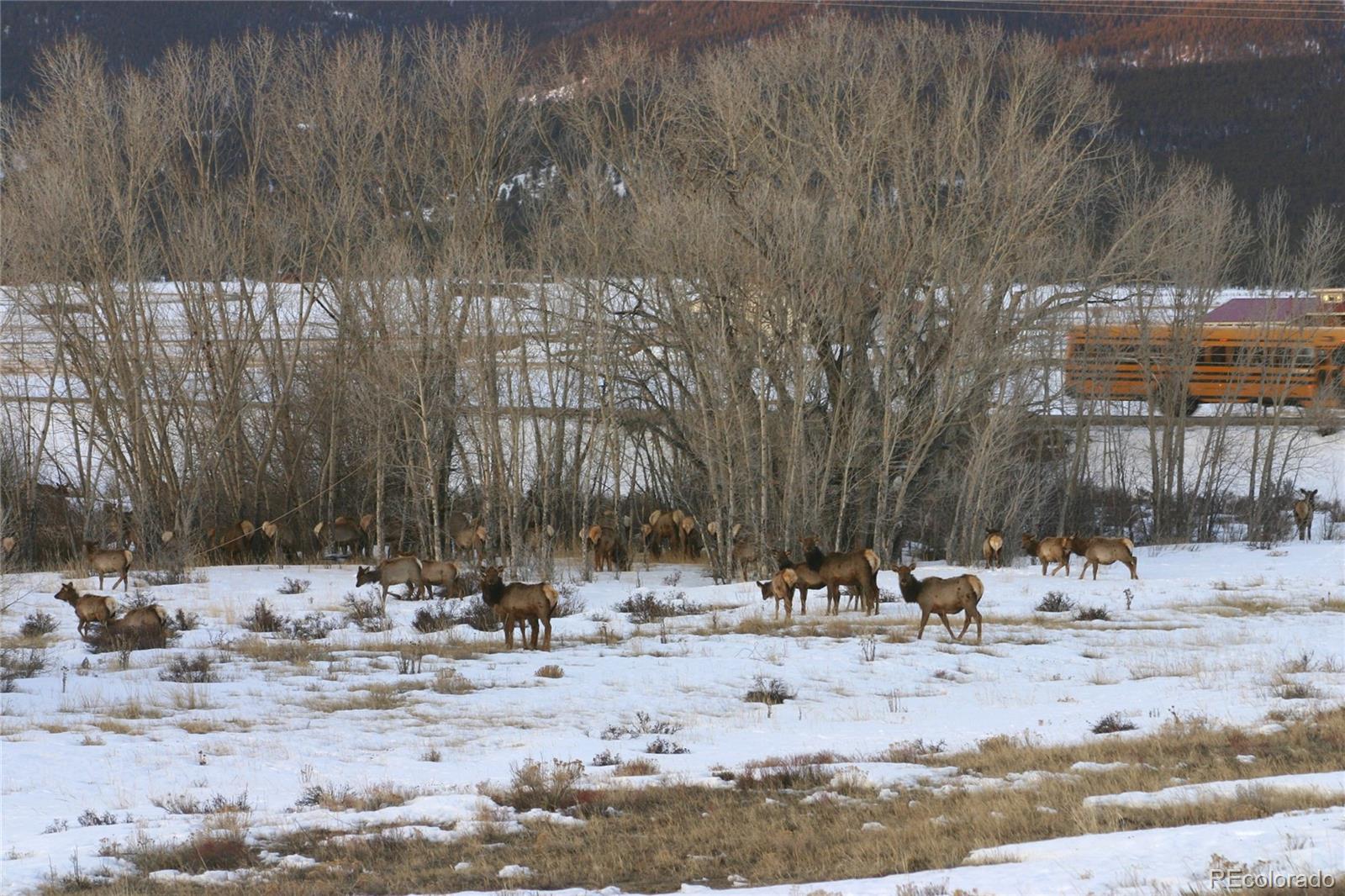 MLS Image #36 for 32400  county road 361 ,buena vista, Colorado