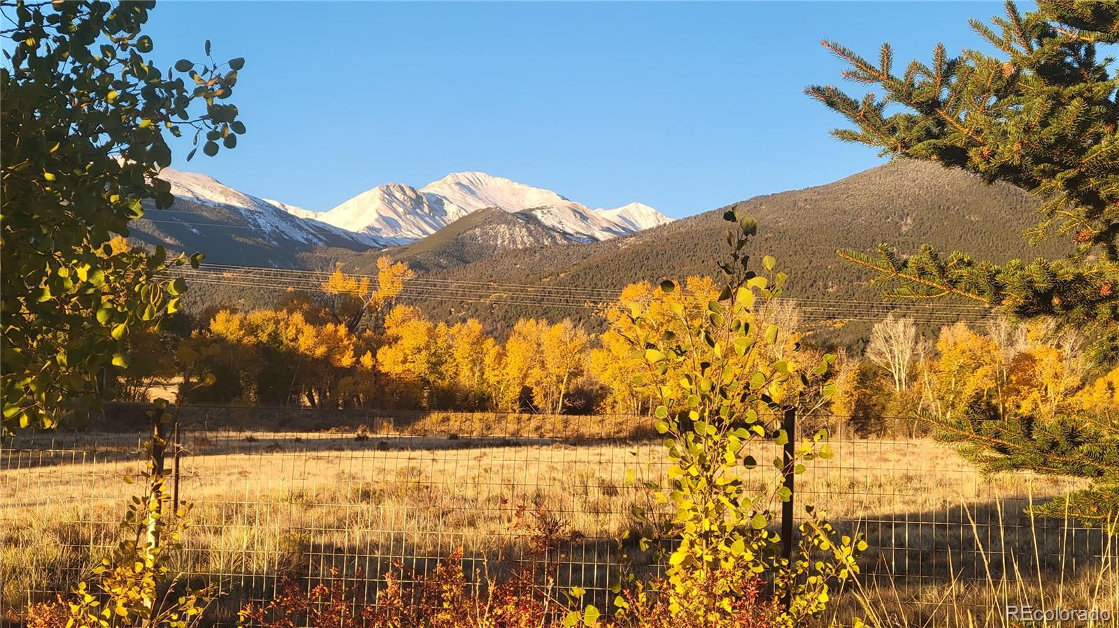 MLS Image #39 for 32400  county road 361 ,buena vista, Colorado