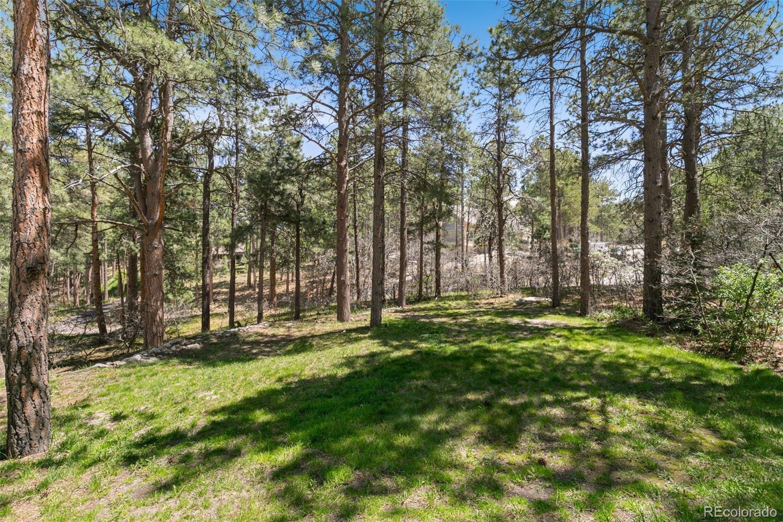 MLS Image #40 for 1190  lone scout lookout ,monument, Colorado