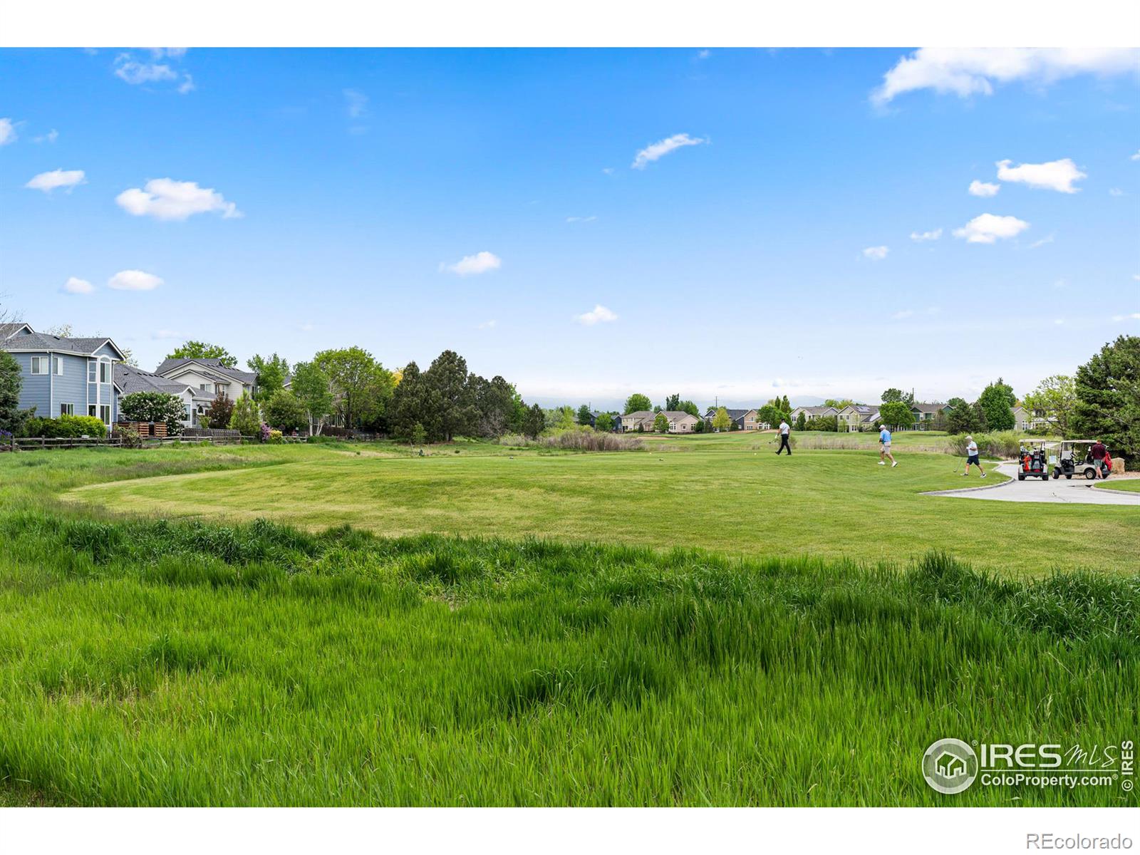 MLS Image #29 for 1703  whitehall drive,longmont, Colorado