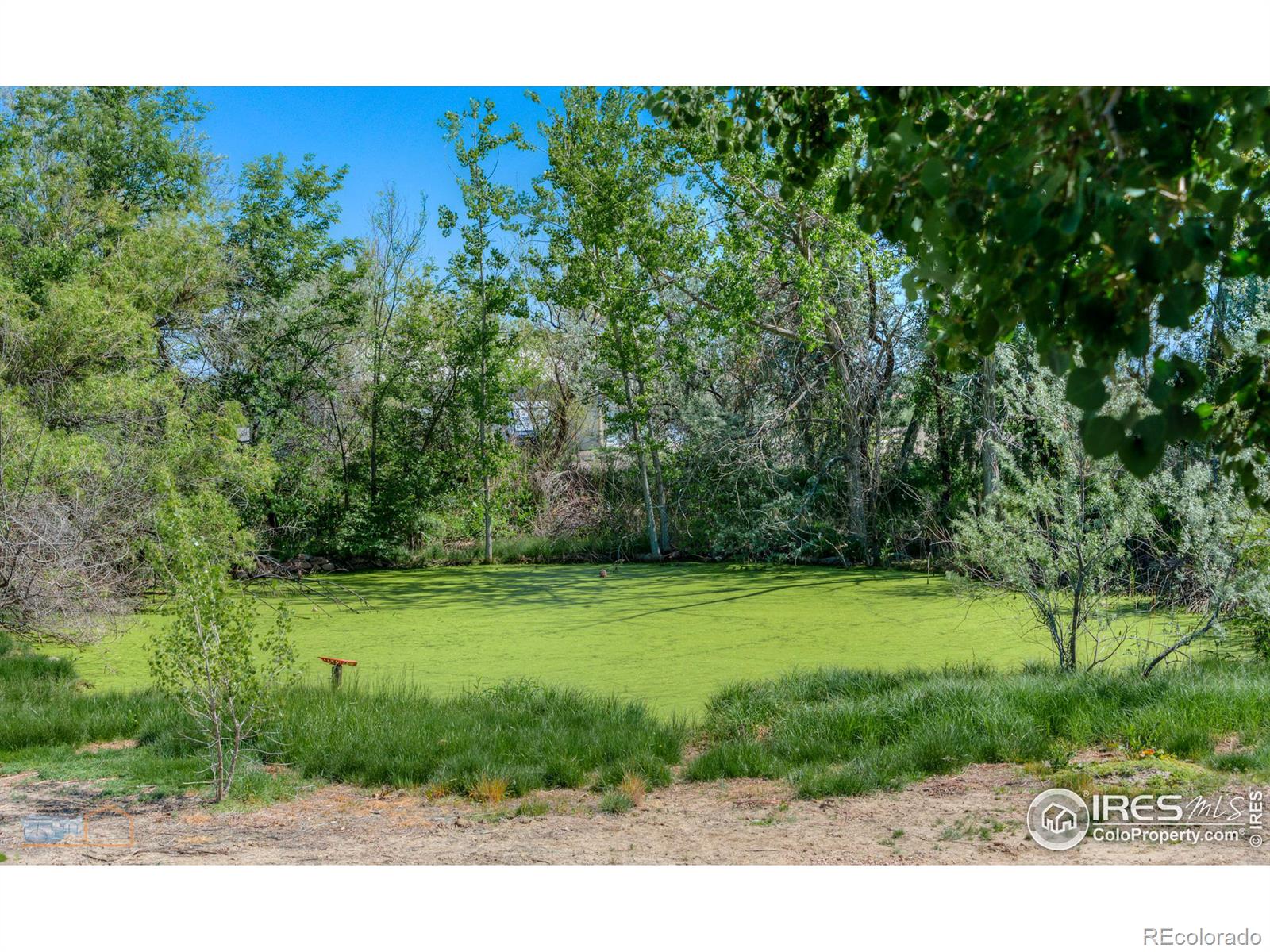 MLS Image #19 for 2544  county road 12 ,erie, Colorado