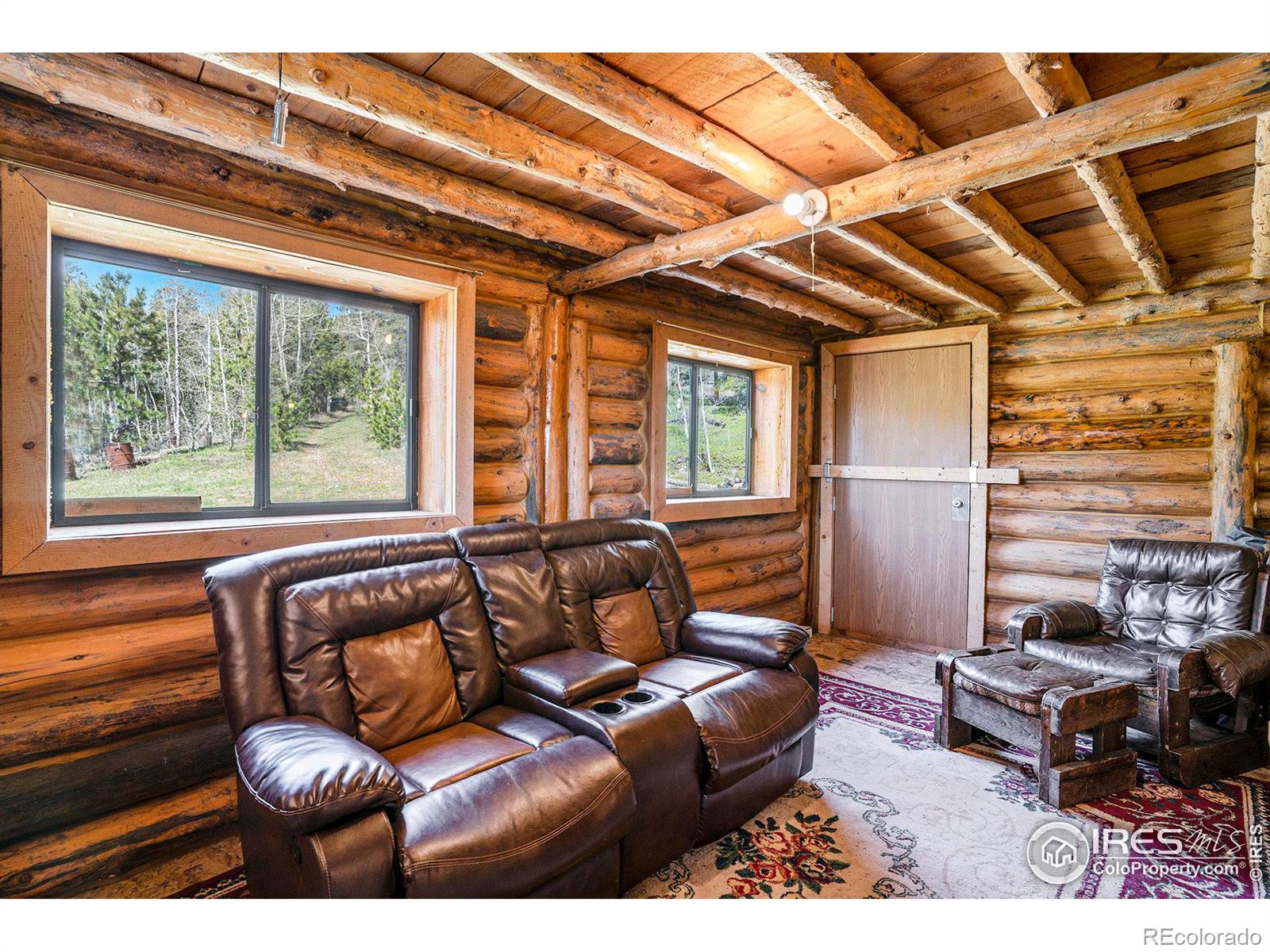 MLS Image #11 for 2870  cedar park drive,drake, Colorado