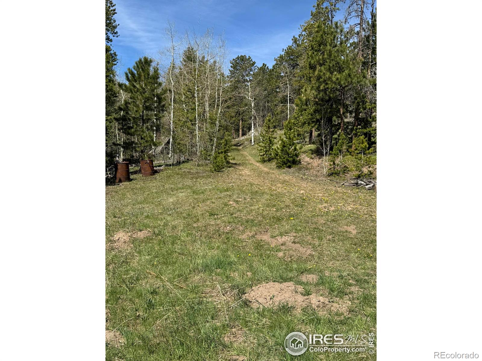 MLS Image #19 for 2870  cedar park drive,drake, Colorado