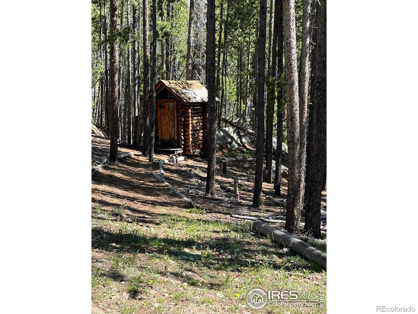 MLS Image #21 for 2870  cedar park drive,drake, Colorado