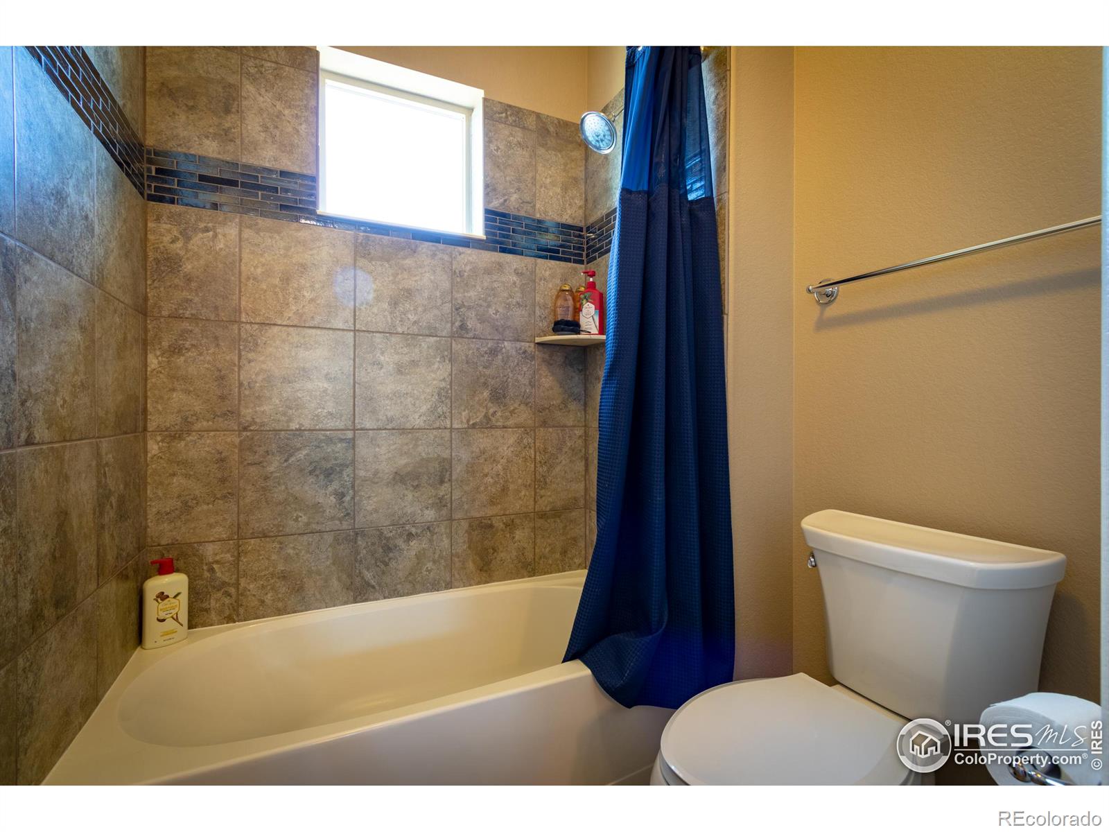 MLS Image #26 for 6202  swainsons hawk place,fort collins, Colorado