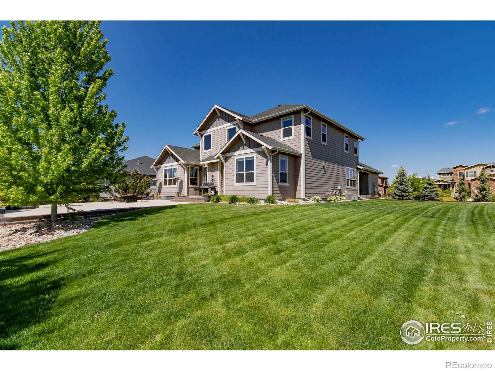 MLS Image #5 for 6202  swainsons hawk place,fort collins, Colorado