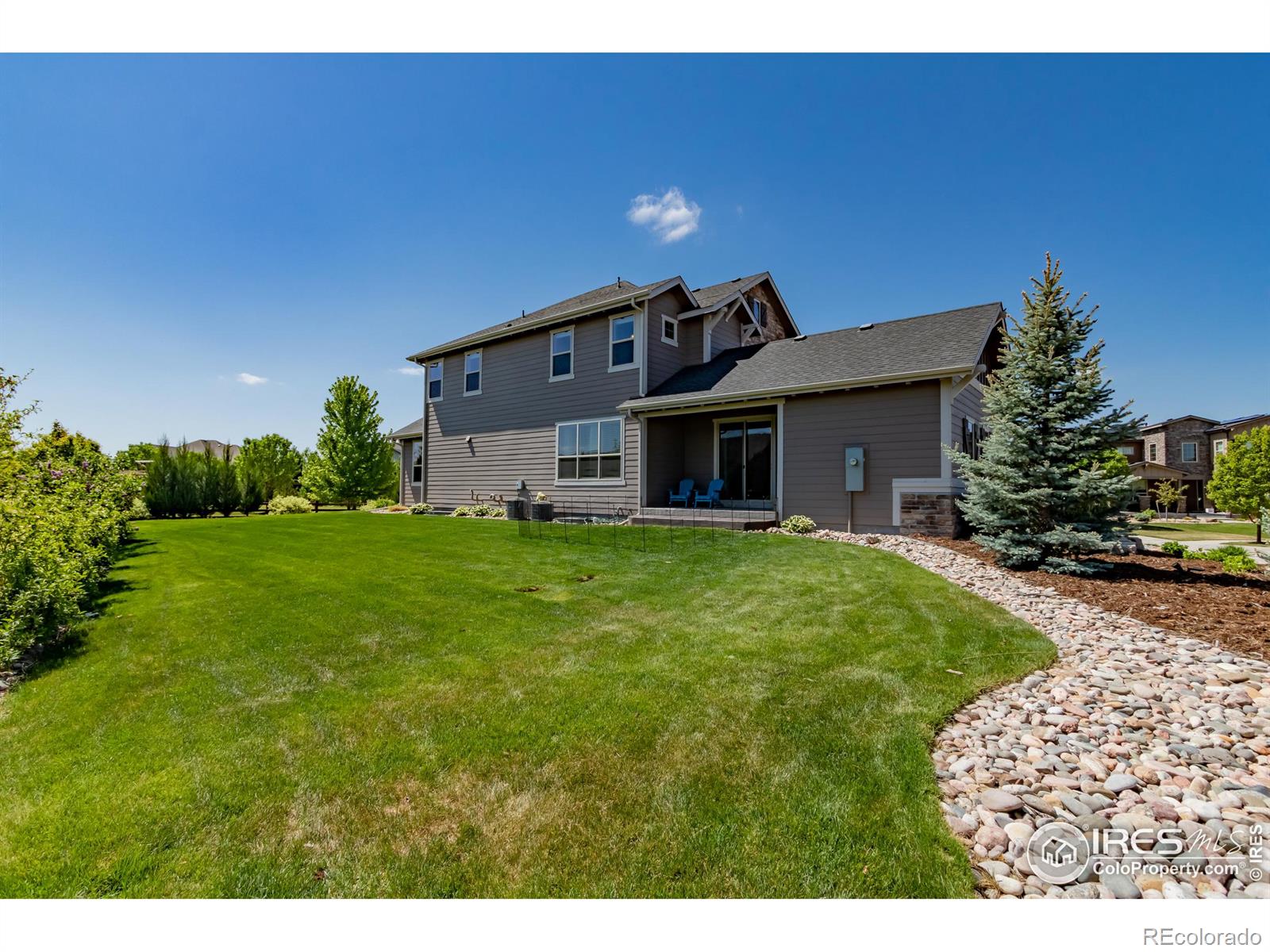 MLS Image #6 for 6202  swainsons hawk place,fort collins, Colorado