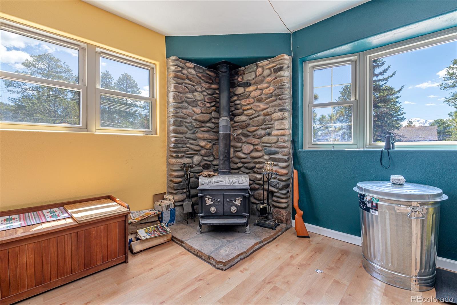 MLS Image #12 for 218  chester avenue,woodland park, Colorado