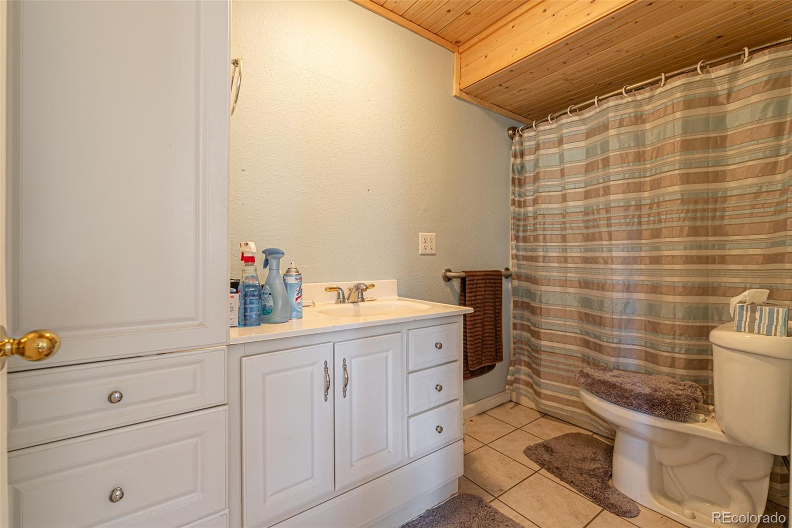 MLS Image #19 for 218  chester avenue,woodland park, Colorado